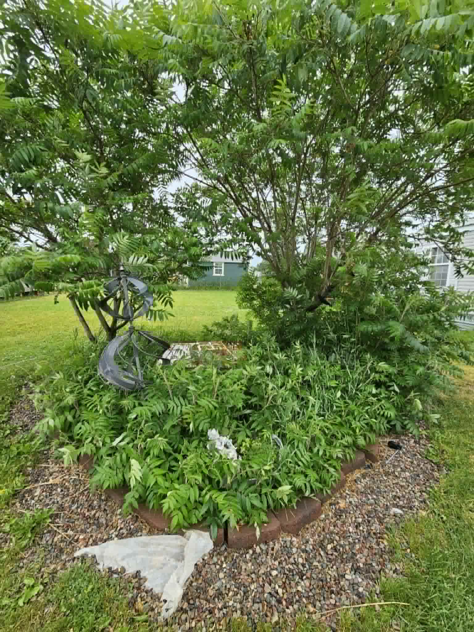 4628 Bailey Street Property Photo 18