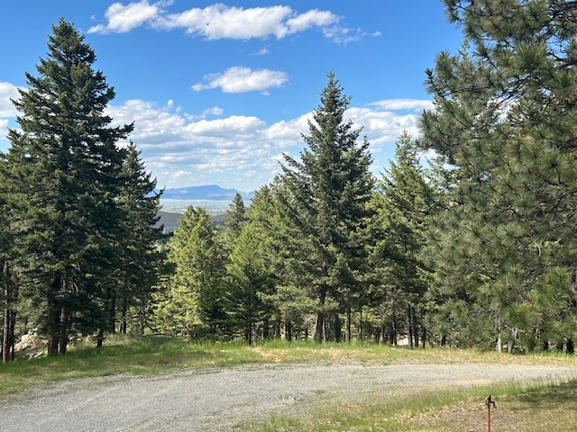 47 Bridle Bit Loop Property Photo 2