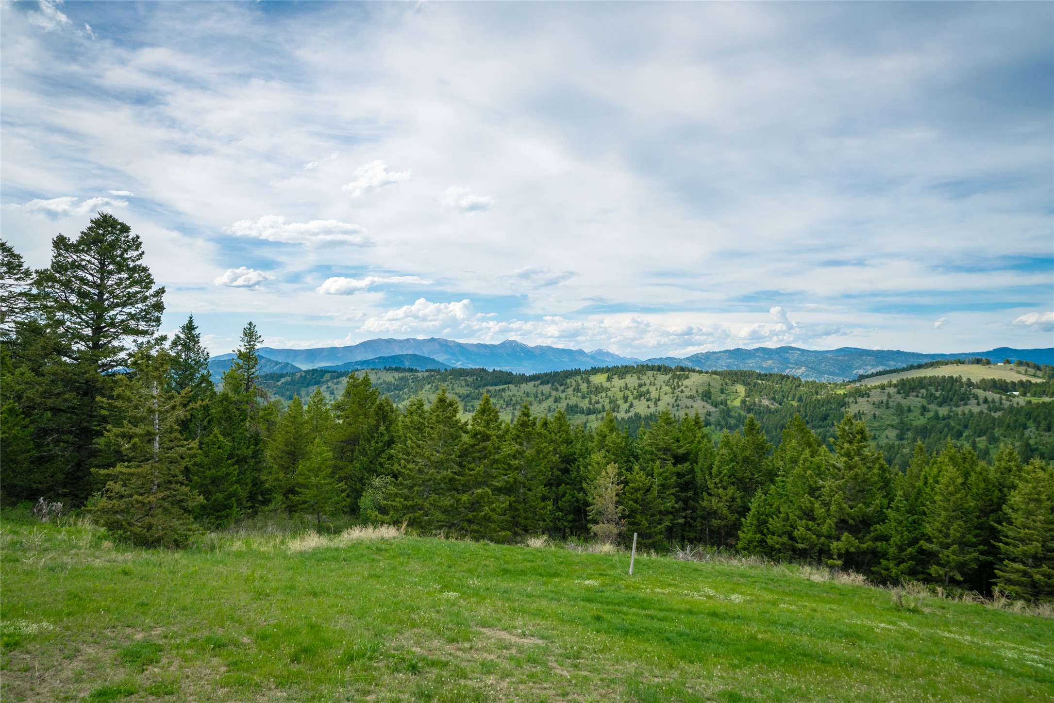 280 High Ridge Road Property Photo 88