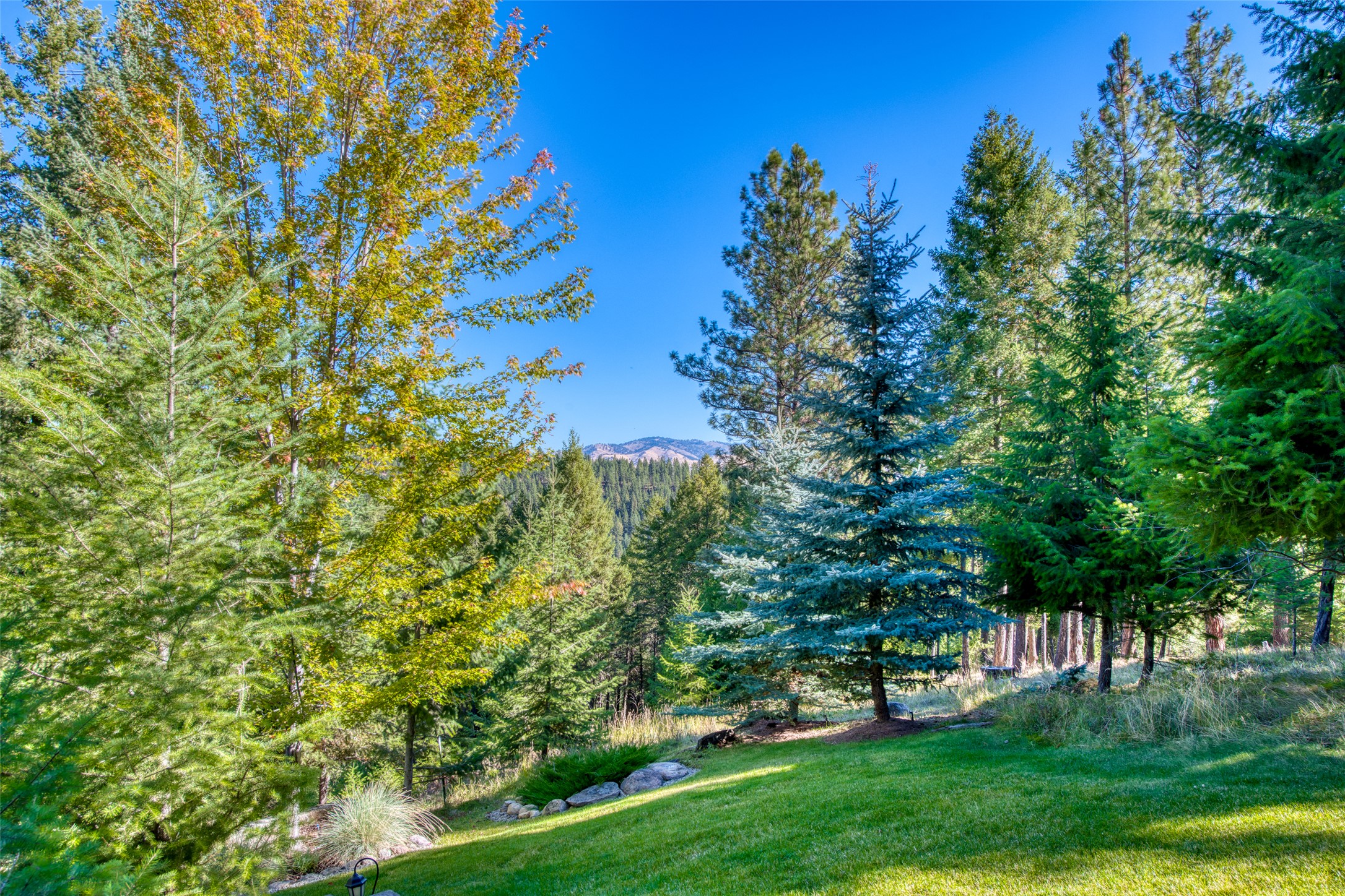 541 Raven Wood Property Photo 95
