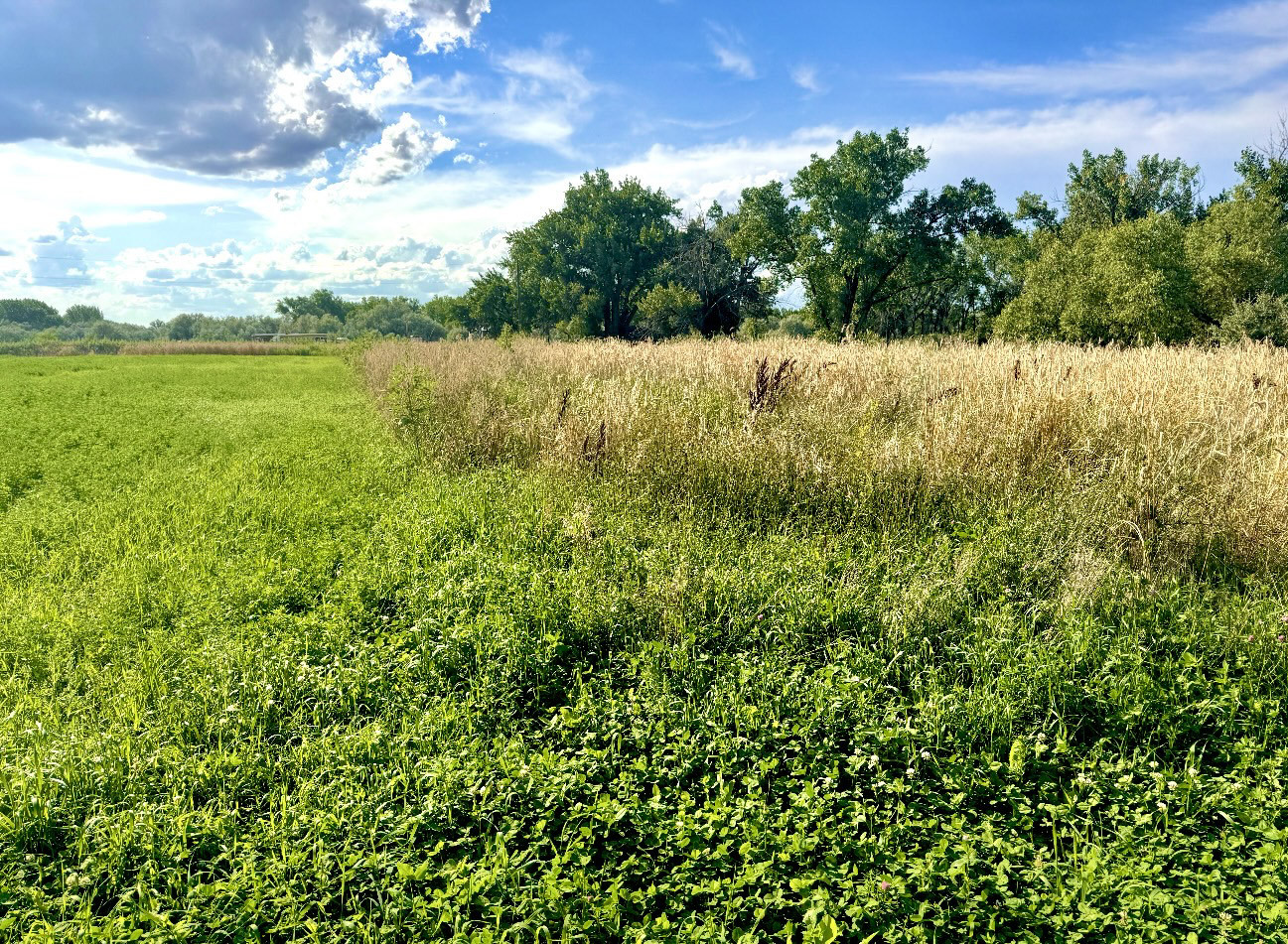 6421 Us Hwy 2 E Property Photo 13