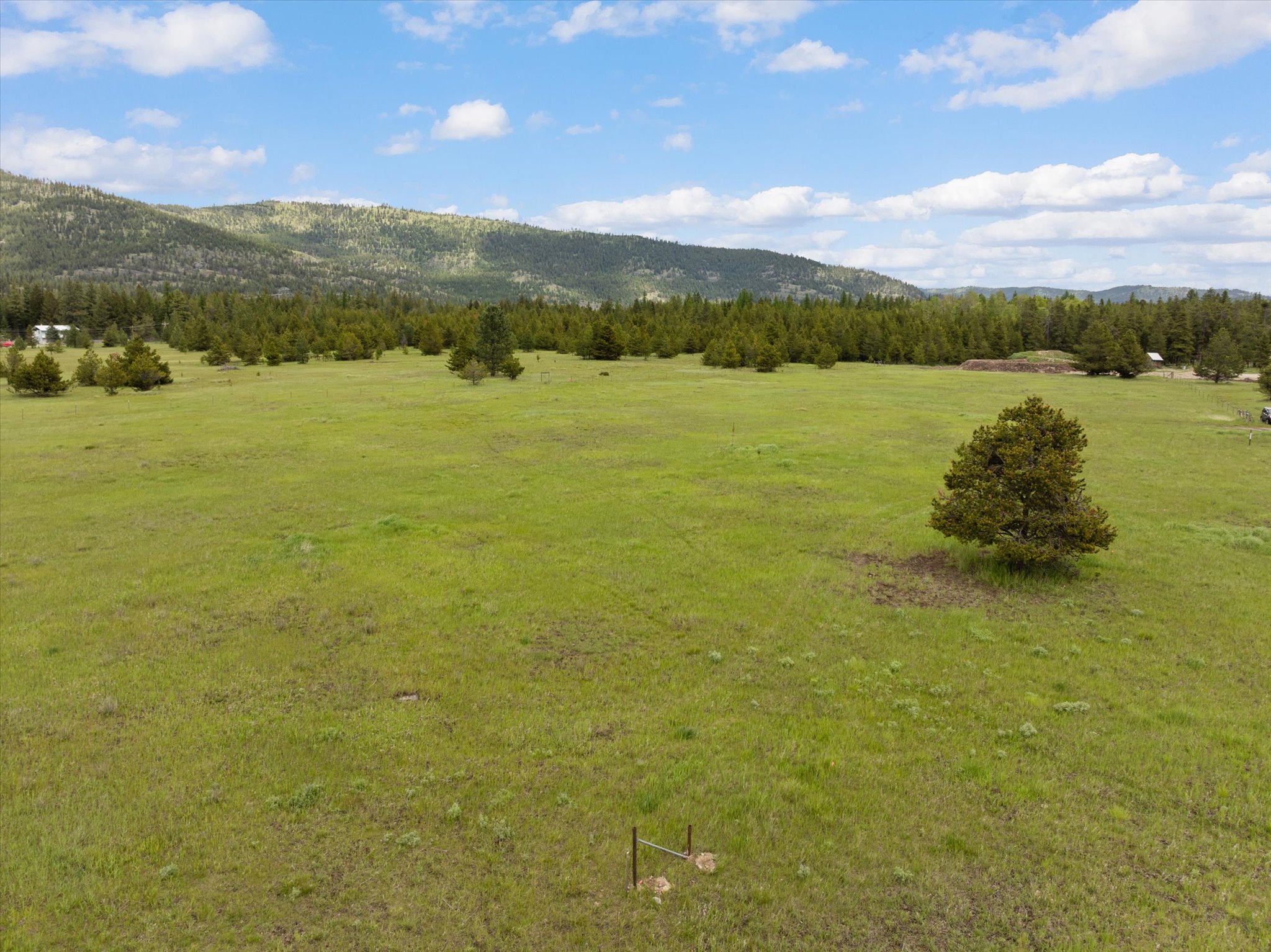 115 Marion Meadows Trail Property Photo 4