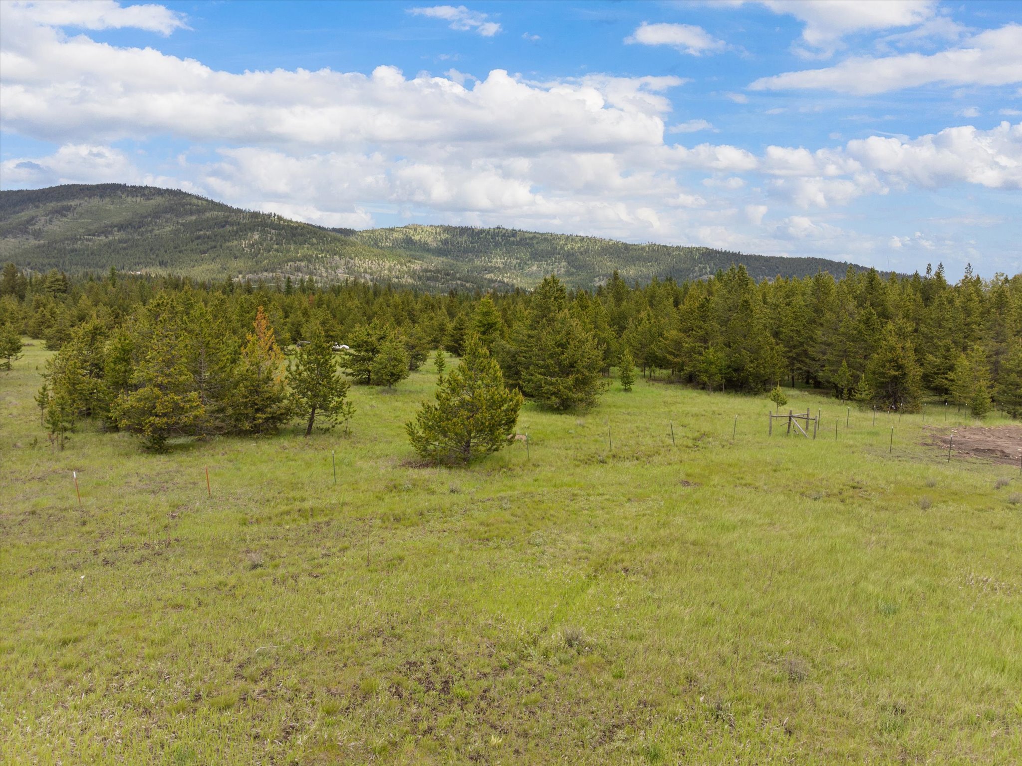 115 Marion Meadows Trail Property Photo 6
