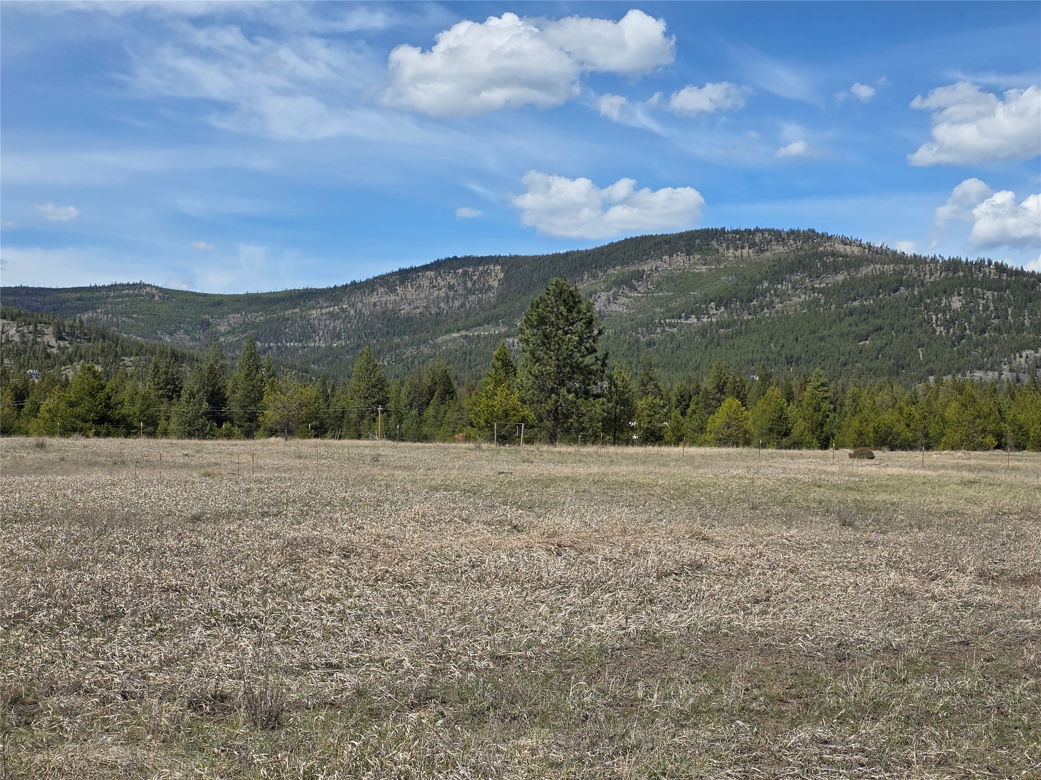 115 Marion Meadows Trail Property Photo 8