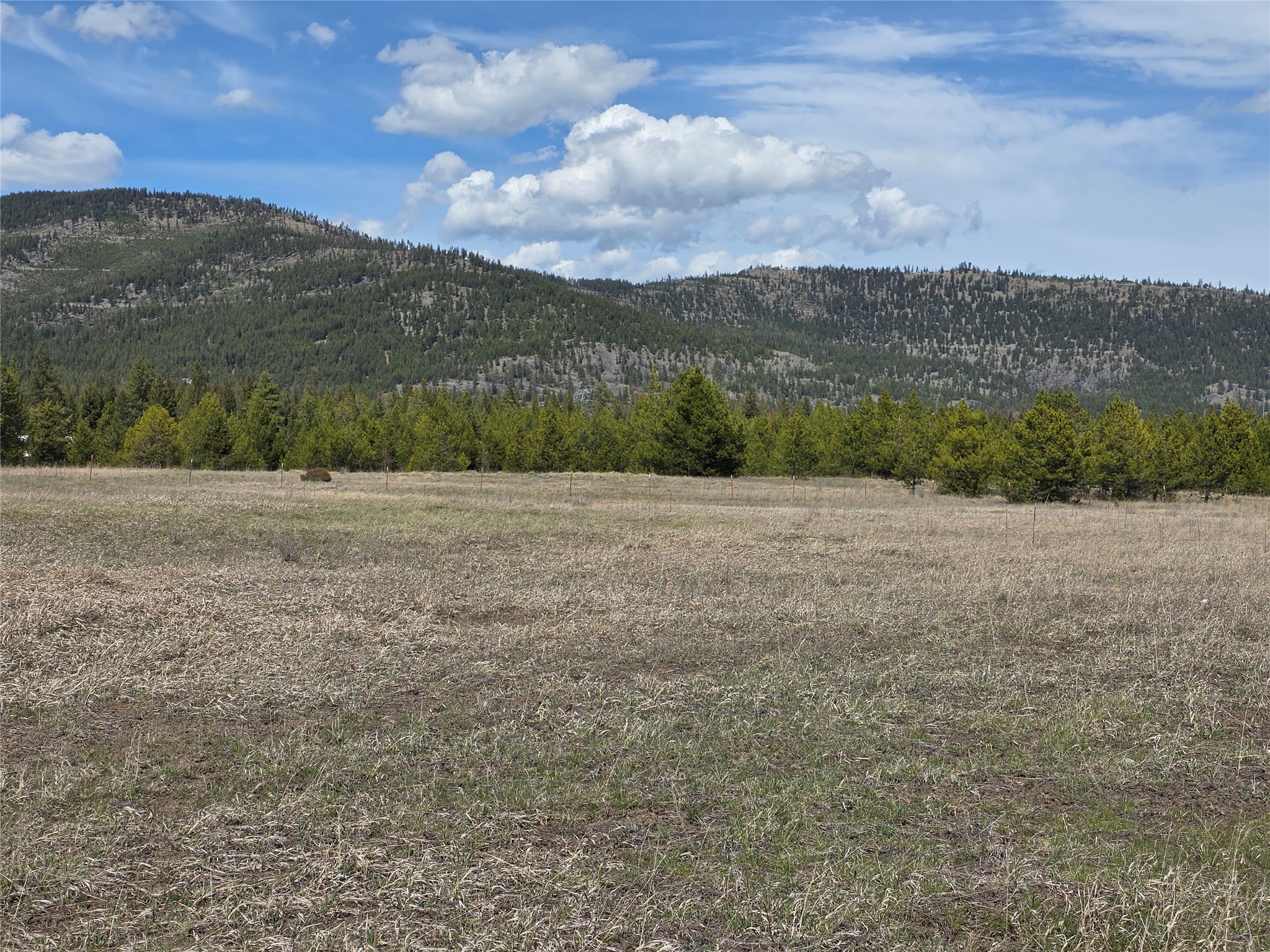 115 Marion Meadows Trail Property Photo 9