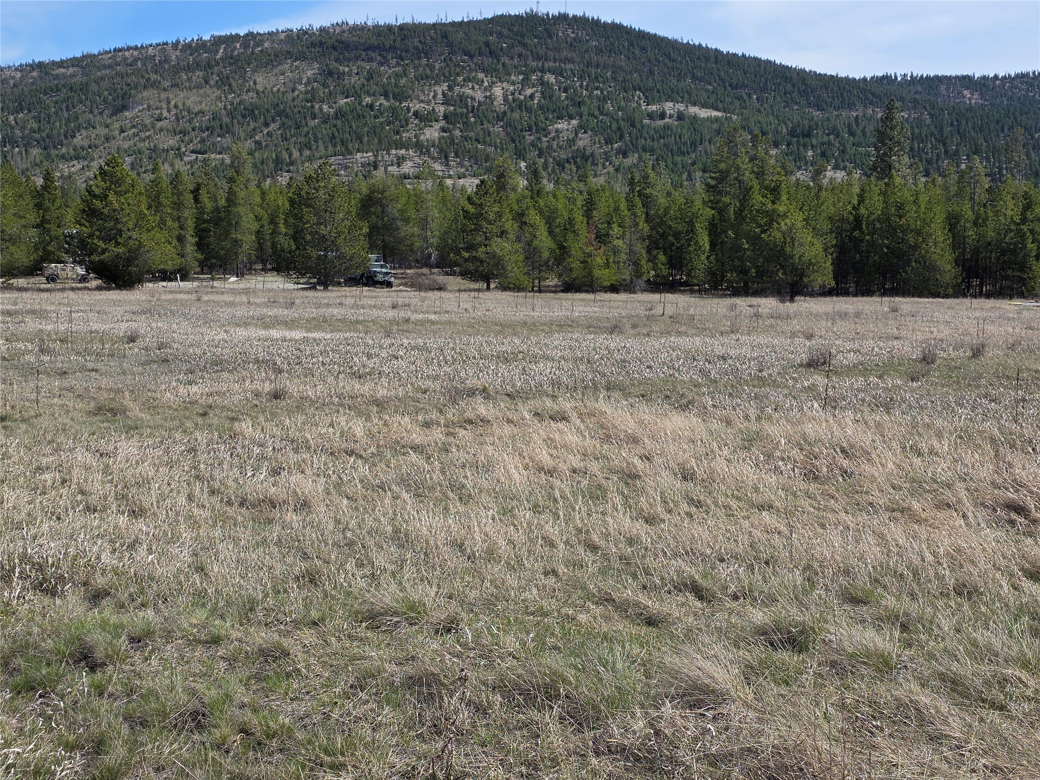 115 Marion Meadows Trail Property Photo 10