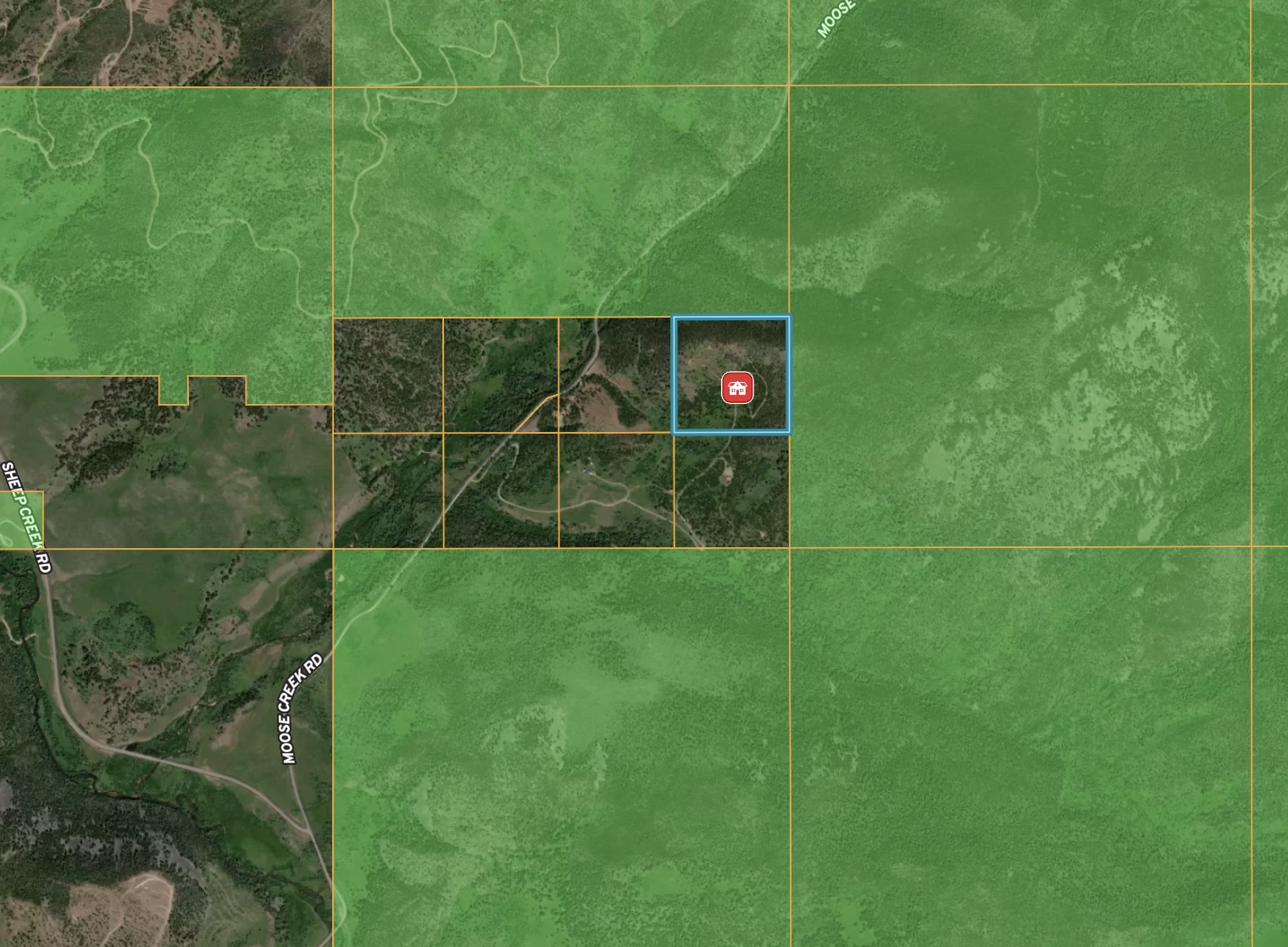 95 Little Moose Creek Trail Property Photo 2