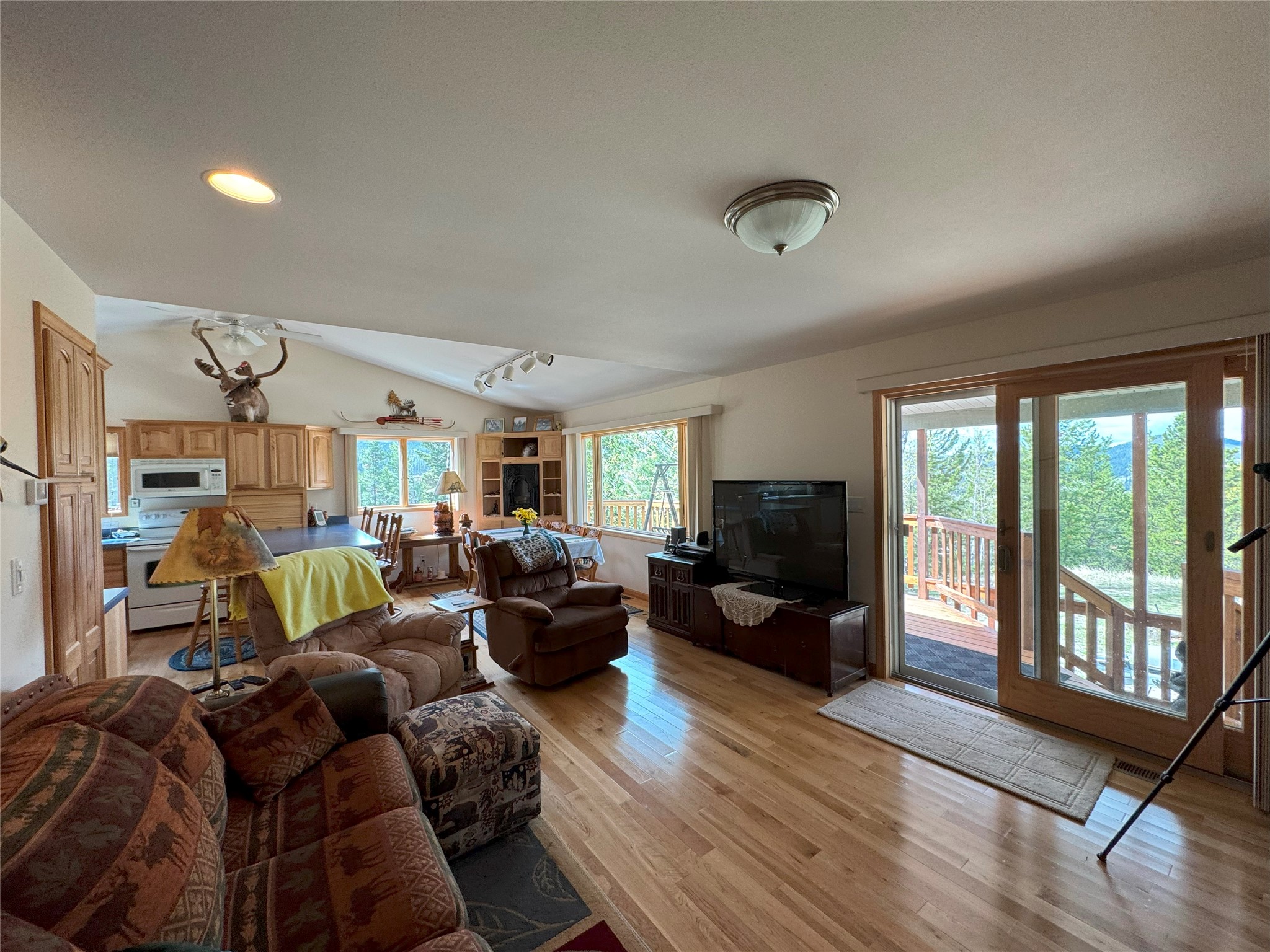 95 Little Moose Creek Trail Property Photo 11