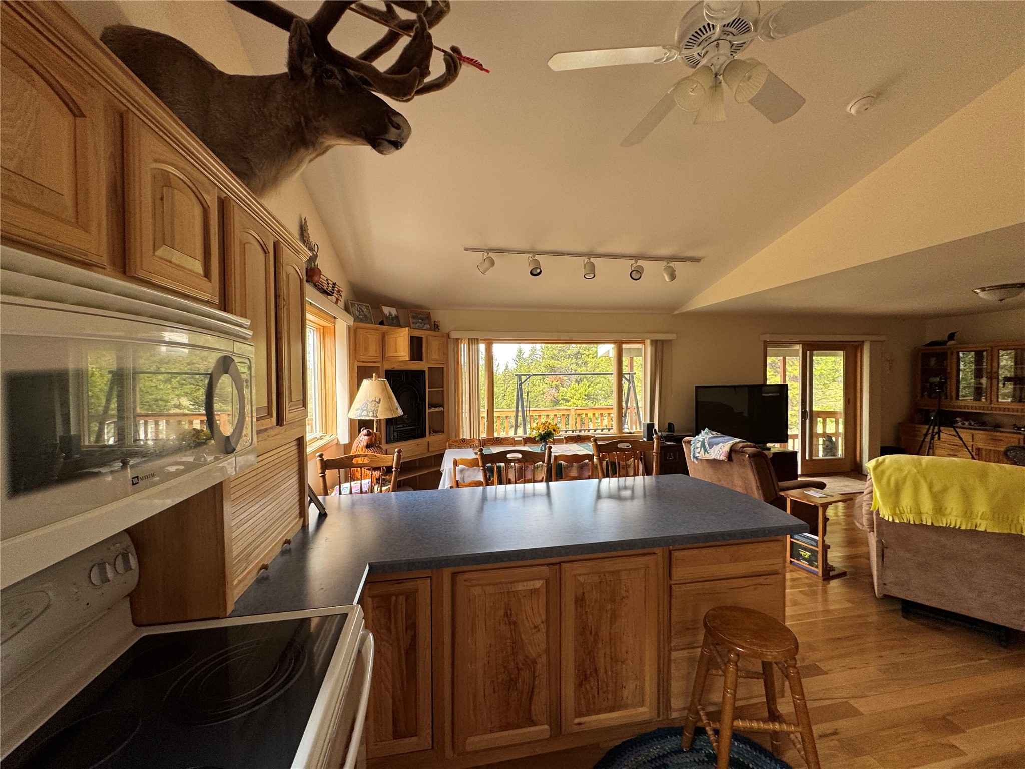95 Little Moose Creek Trail Property Photo 22