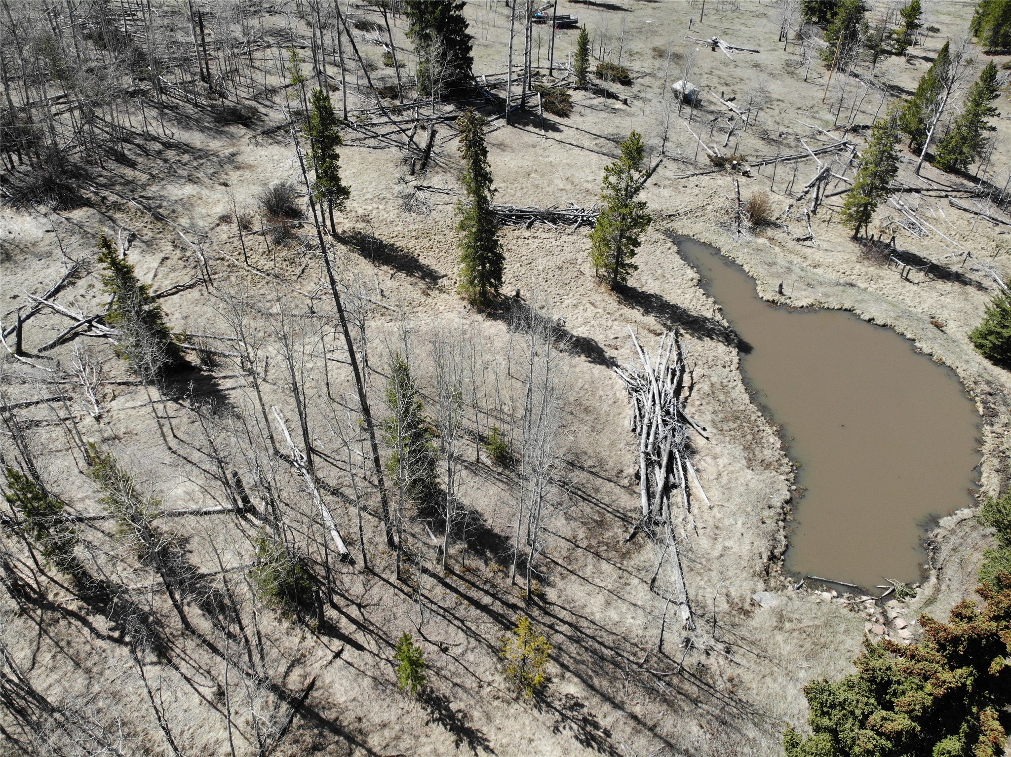 95 Little Moose Creek Trail Property Photo 25