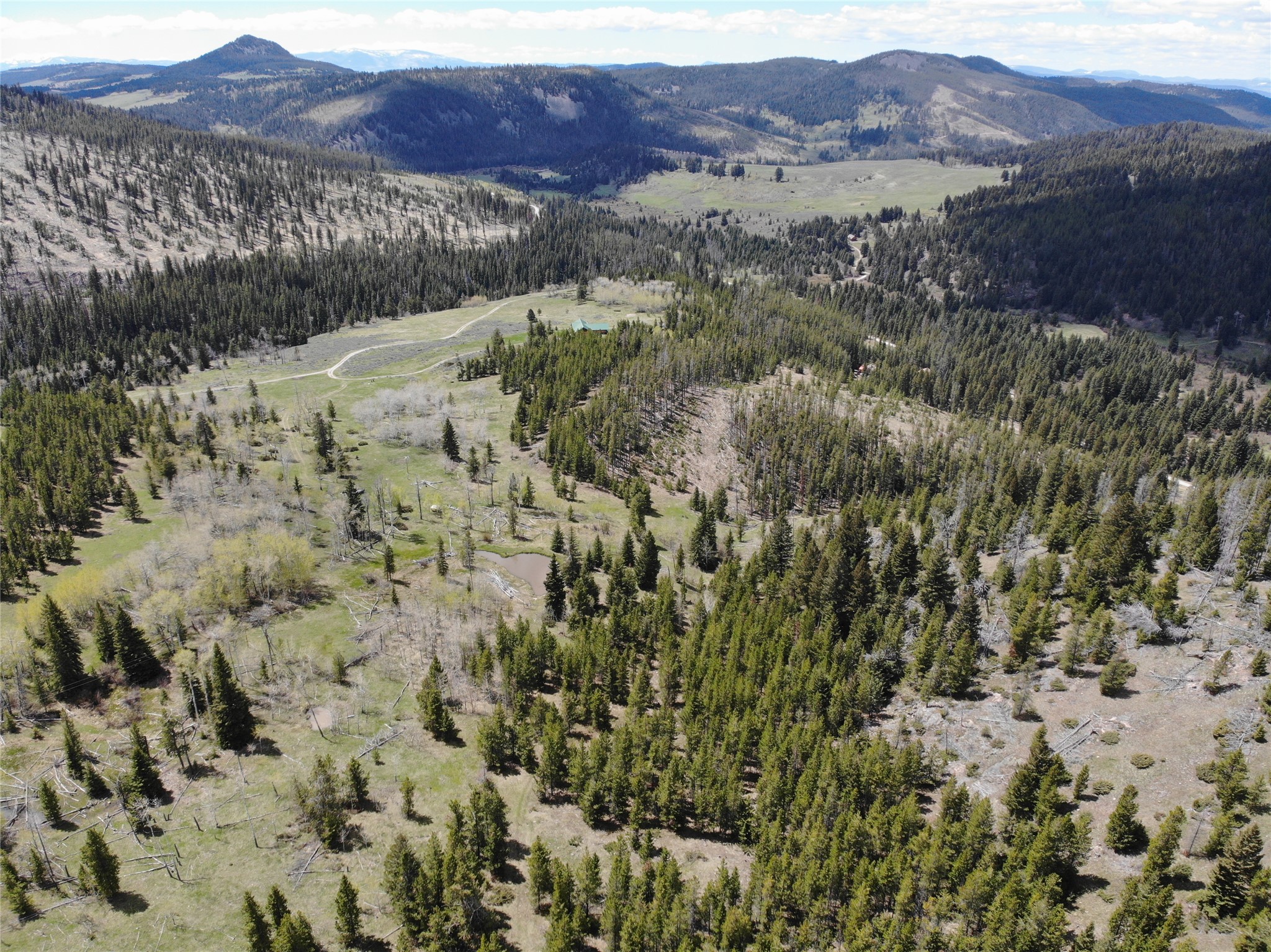 95 Little Moose Creek Trail Property Photo 26