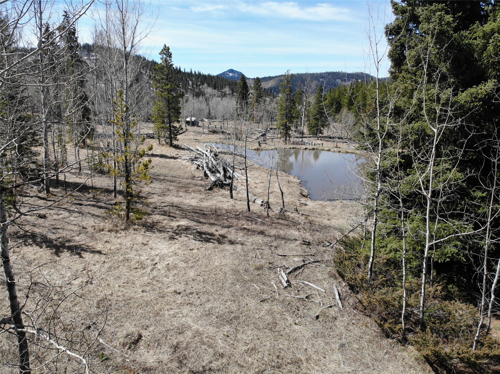 95 Little Moose Creek Trail Property Photo 27