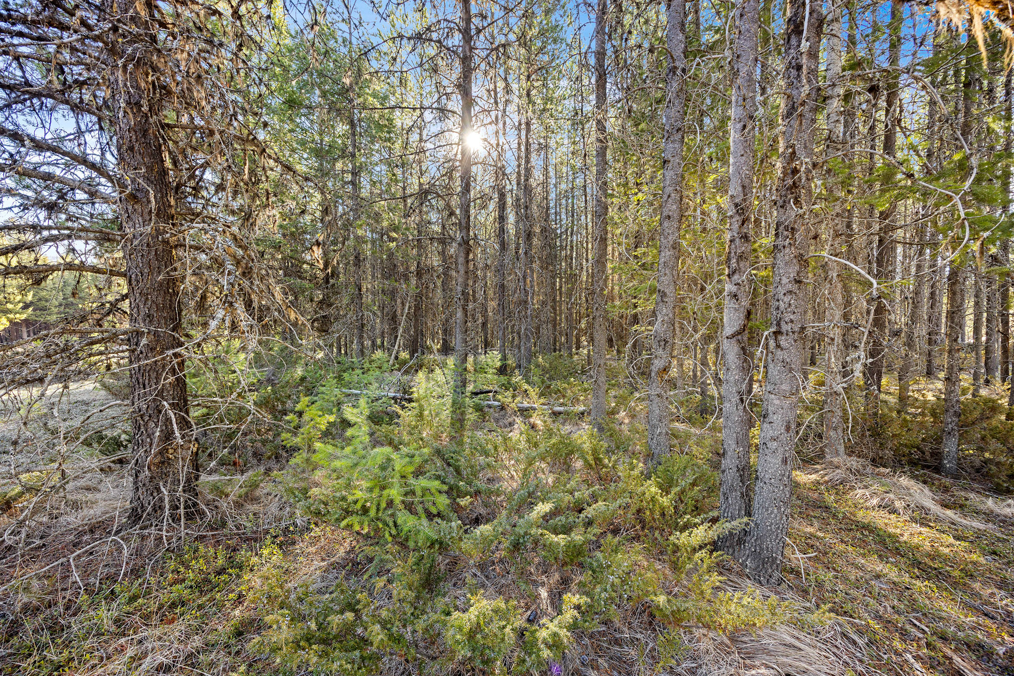2175 Pleasant Valley Road Property Photo 6