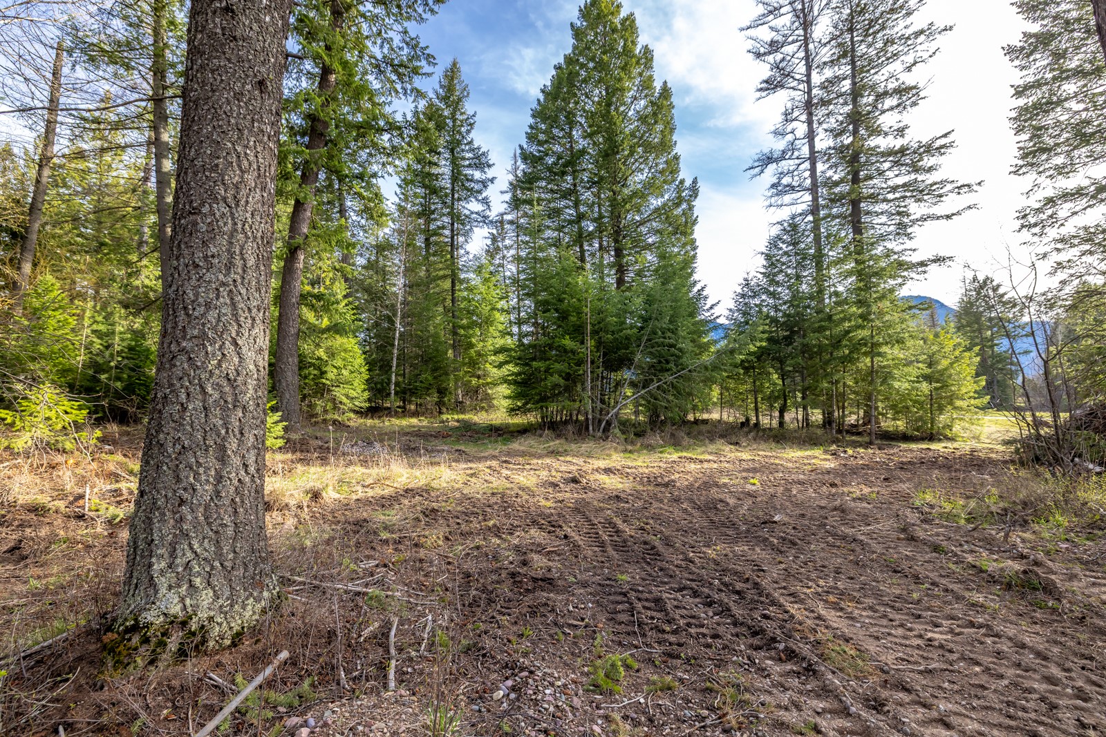 420 Old Hwy 2 E Property Photo 1