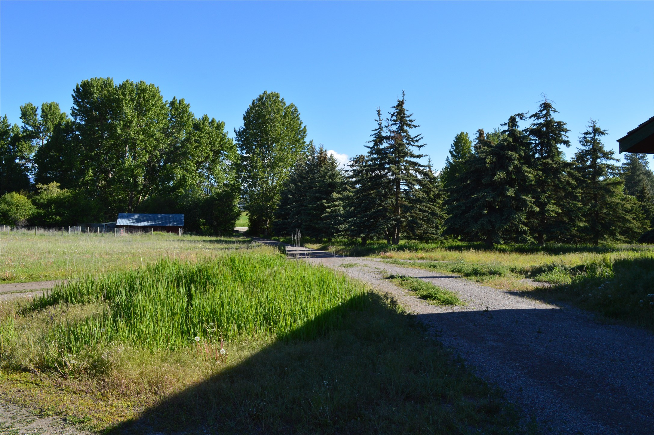 1010 Conn Road Property Photo 9
