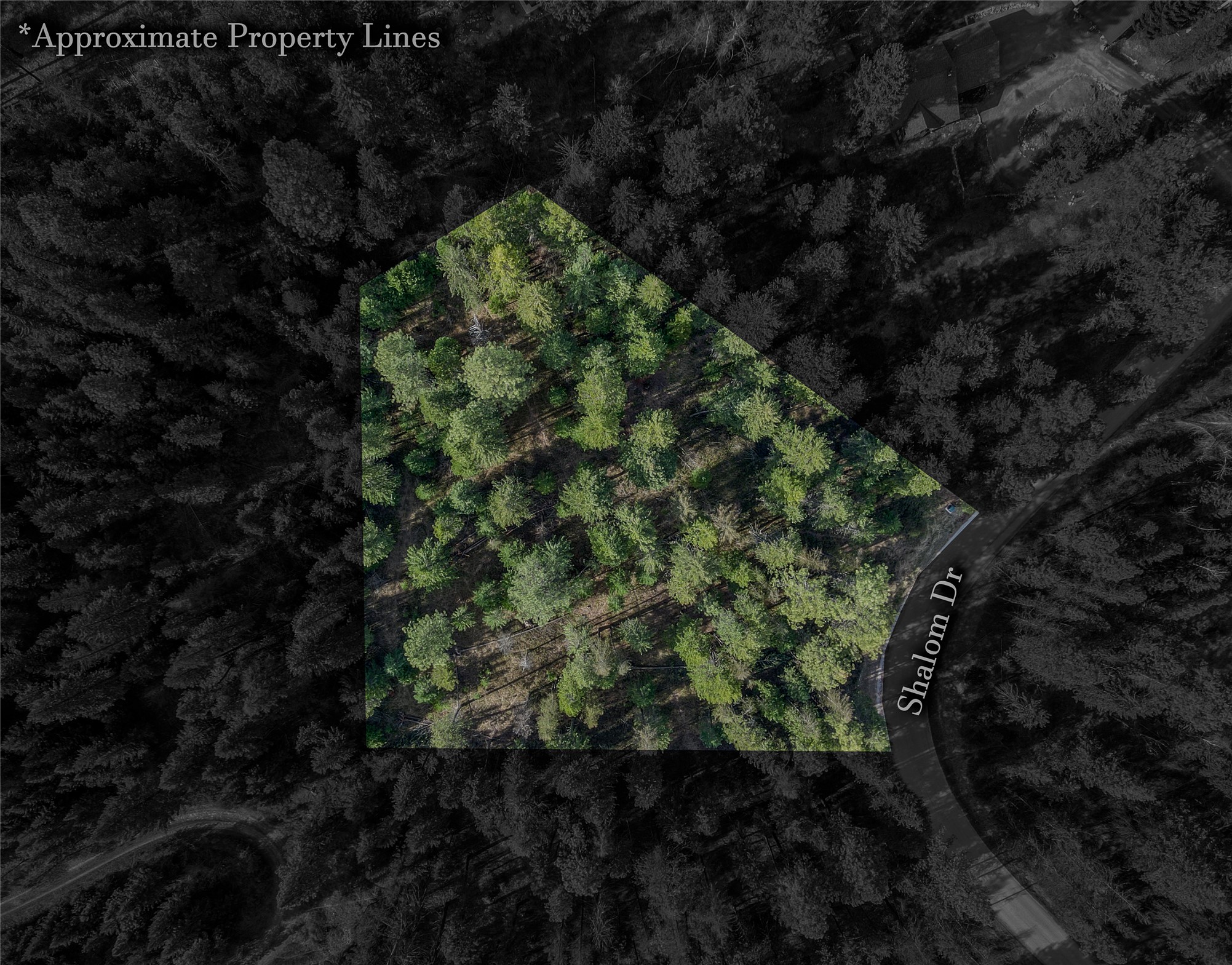 Nhn Shalom Drive Property Photo 3