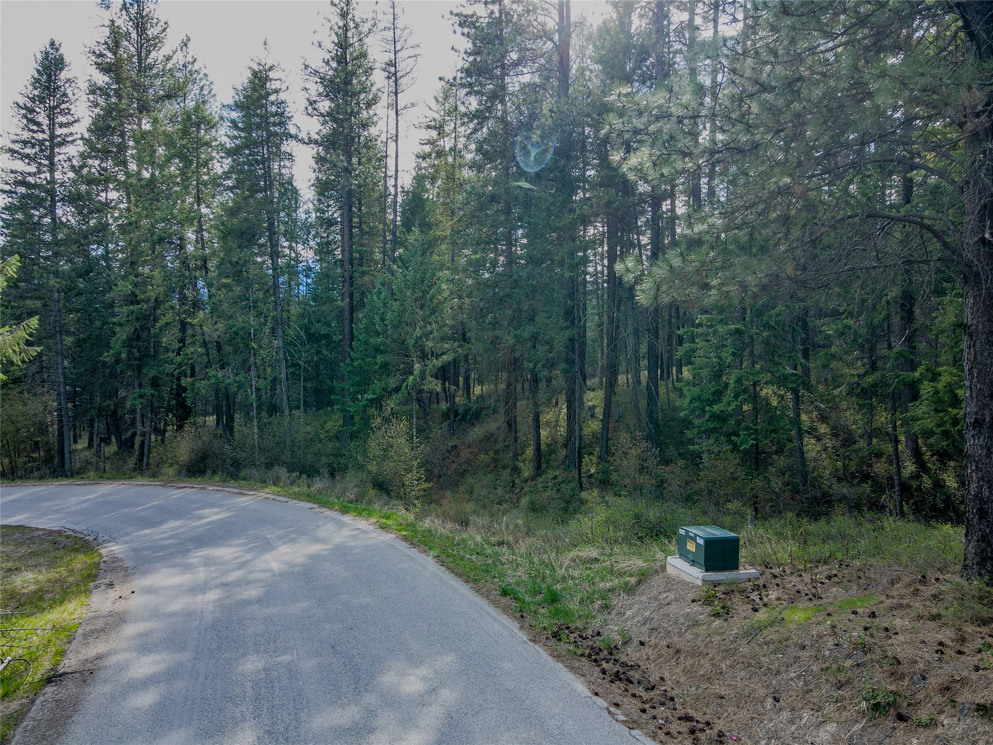 Nhn Shalom Drive Property Photo 16