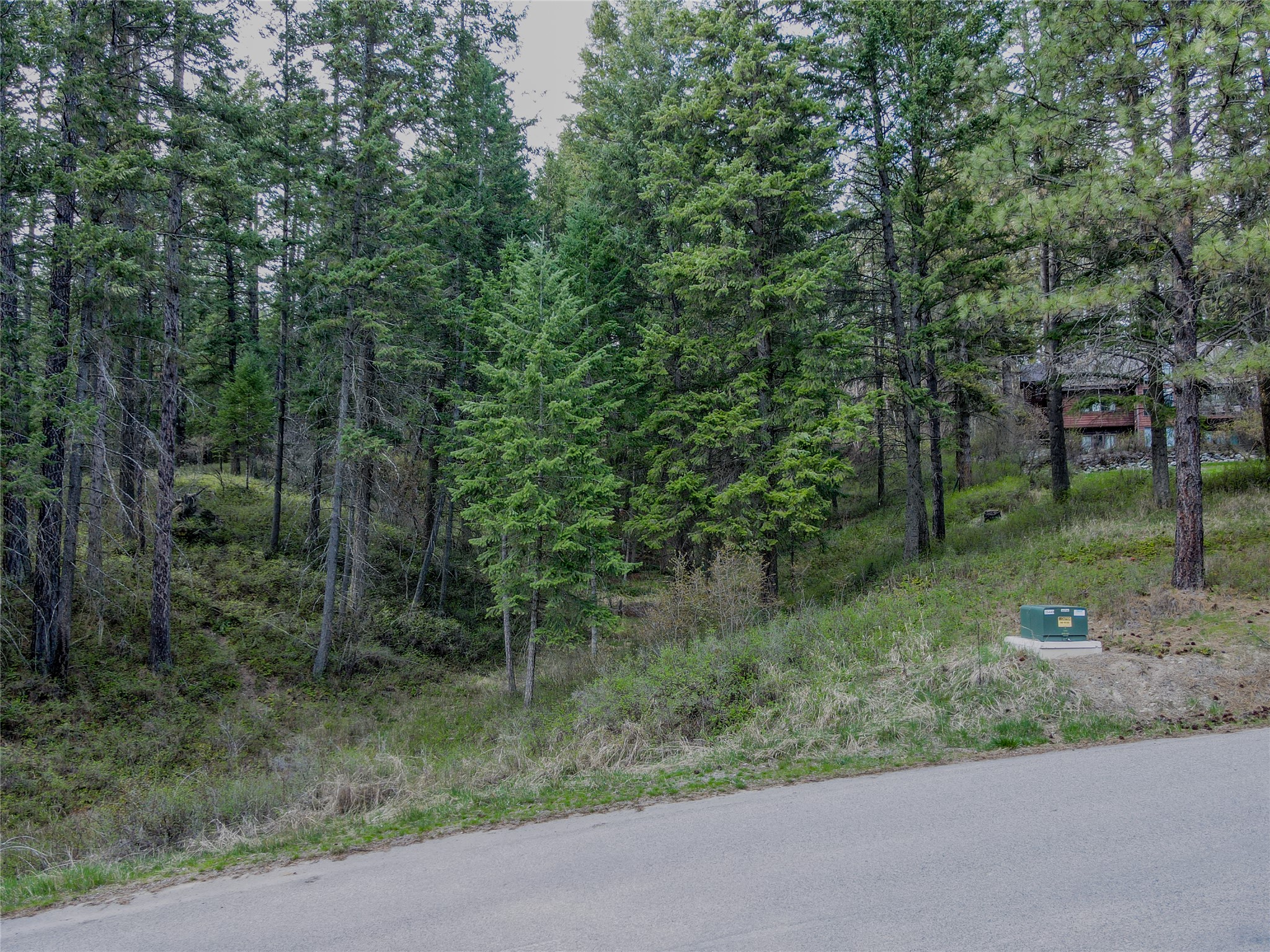 Nhn Shalom Drive Property Photo 17
