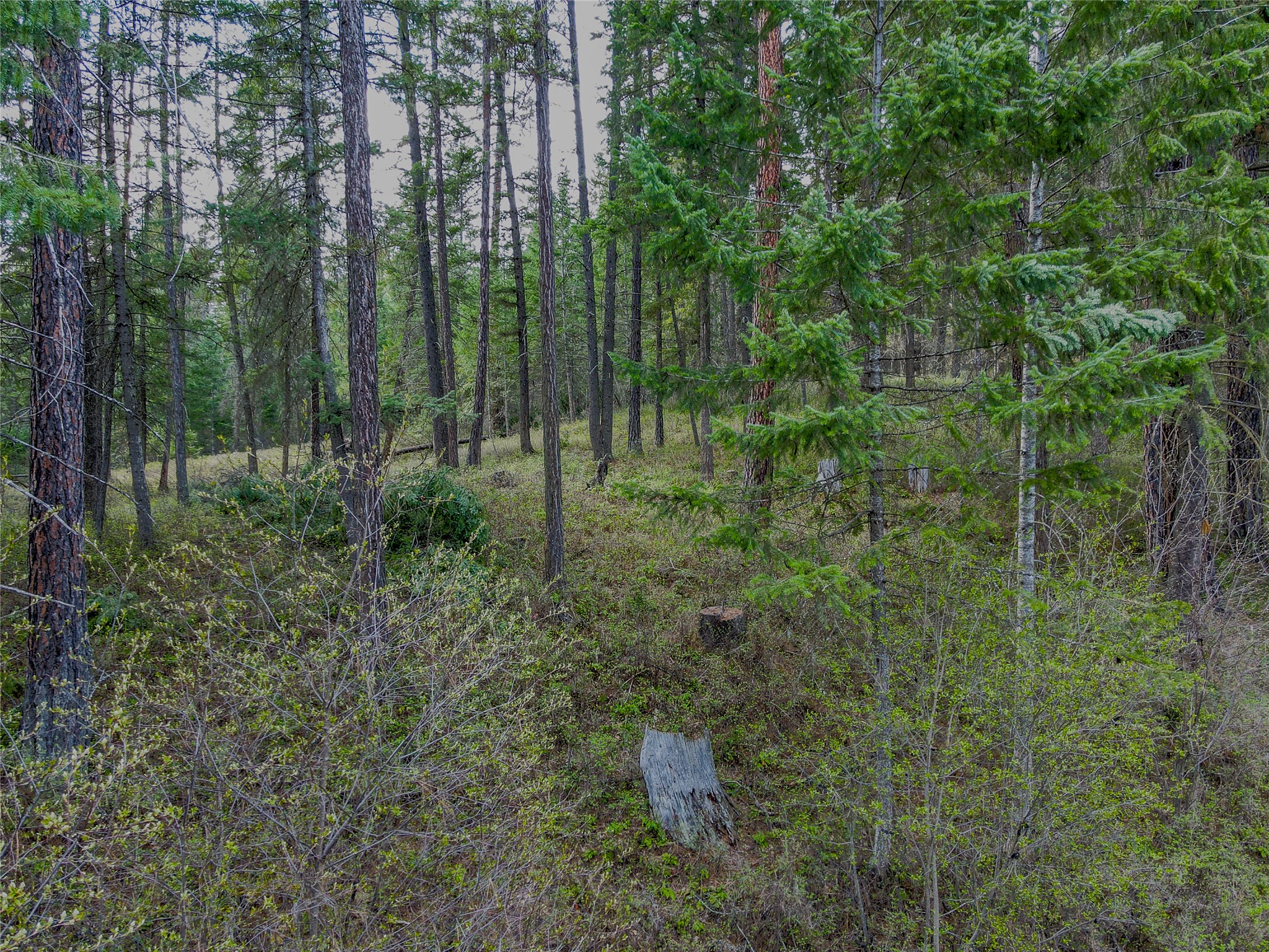 Nhn Shalom Drive Property Photo 19
