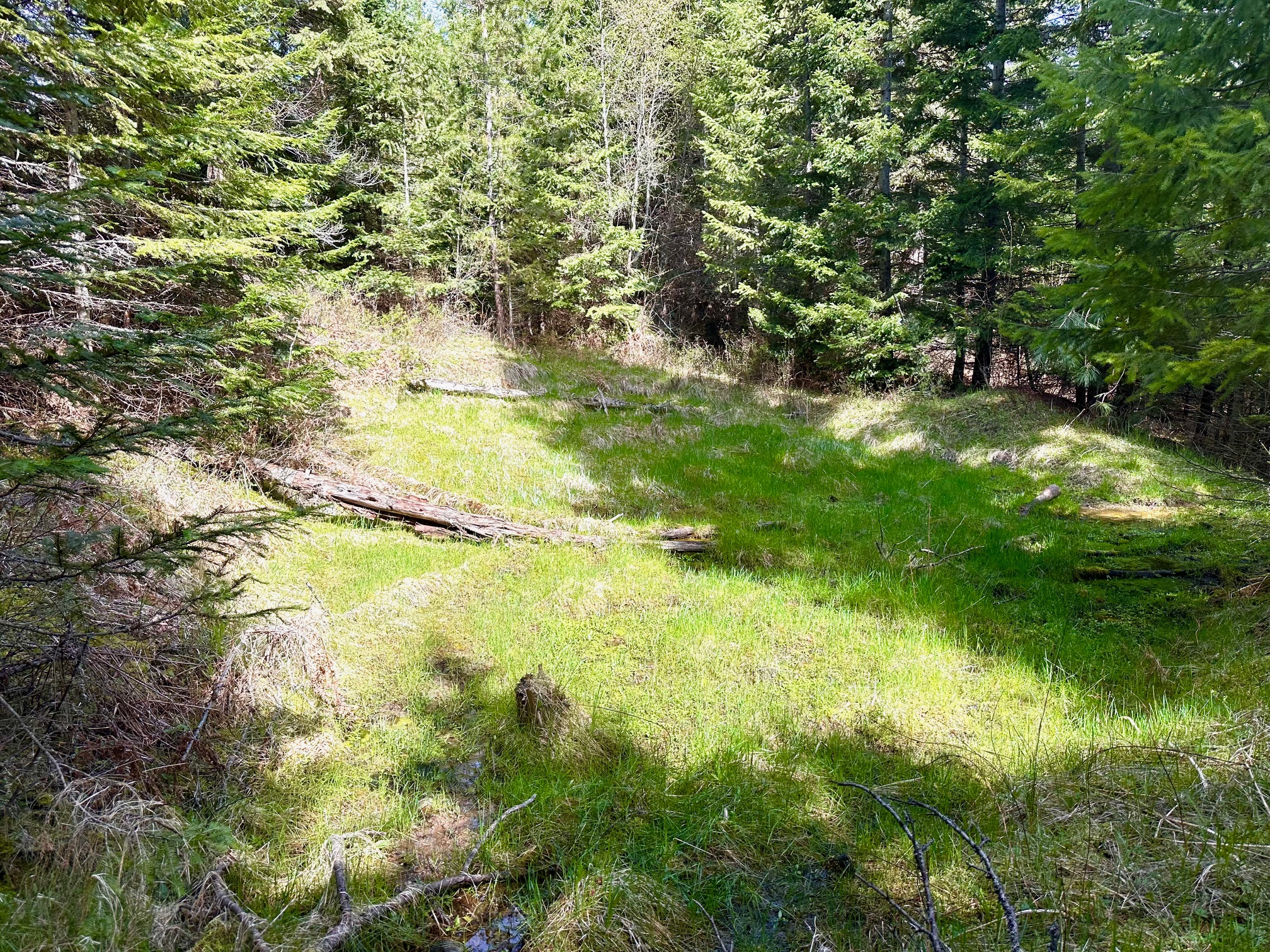 4 Buck Court Property Photo 40
