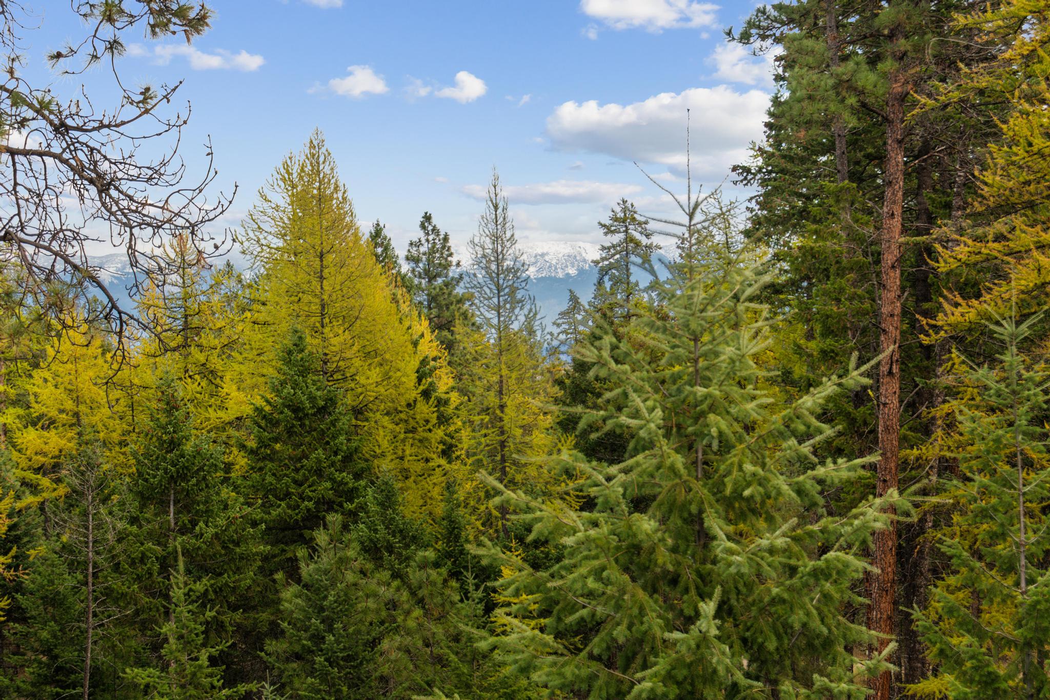 465 Deer Creek Road Property Photo 44