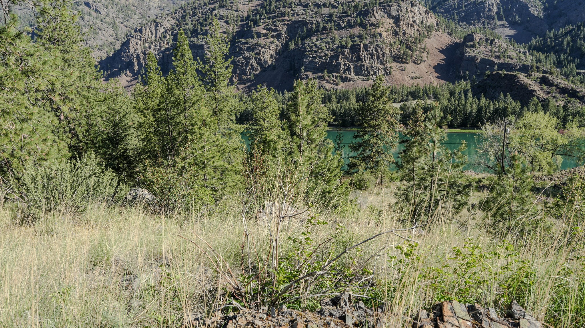 Tbd Hwy 200 Property Photo 13