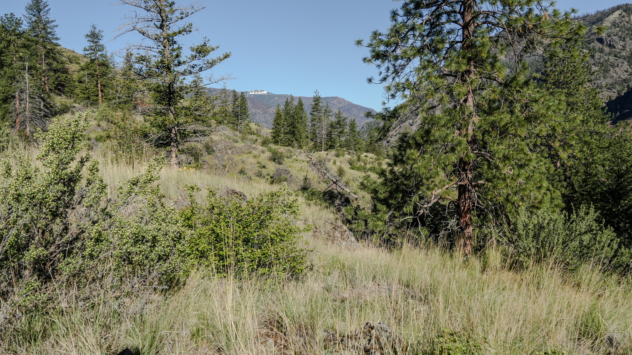 Tbd Hwy 200 Property Photo 14