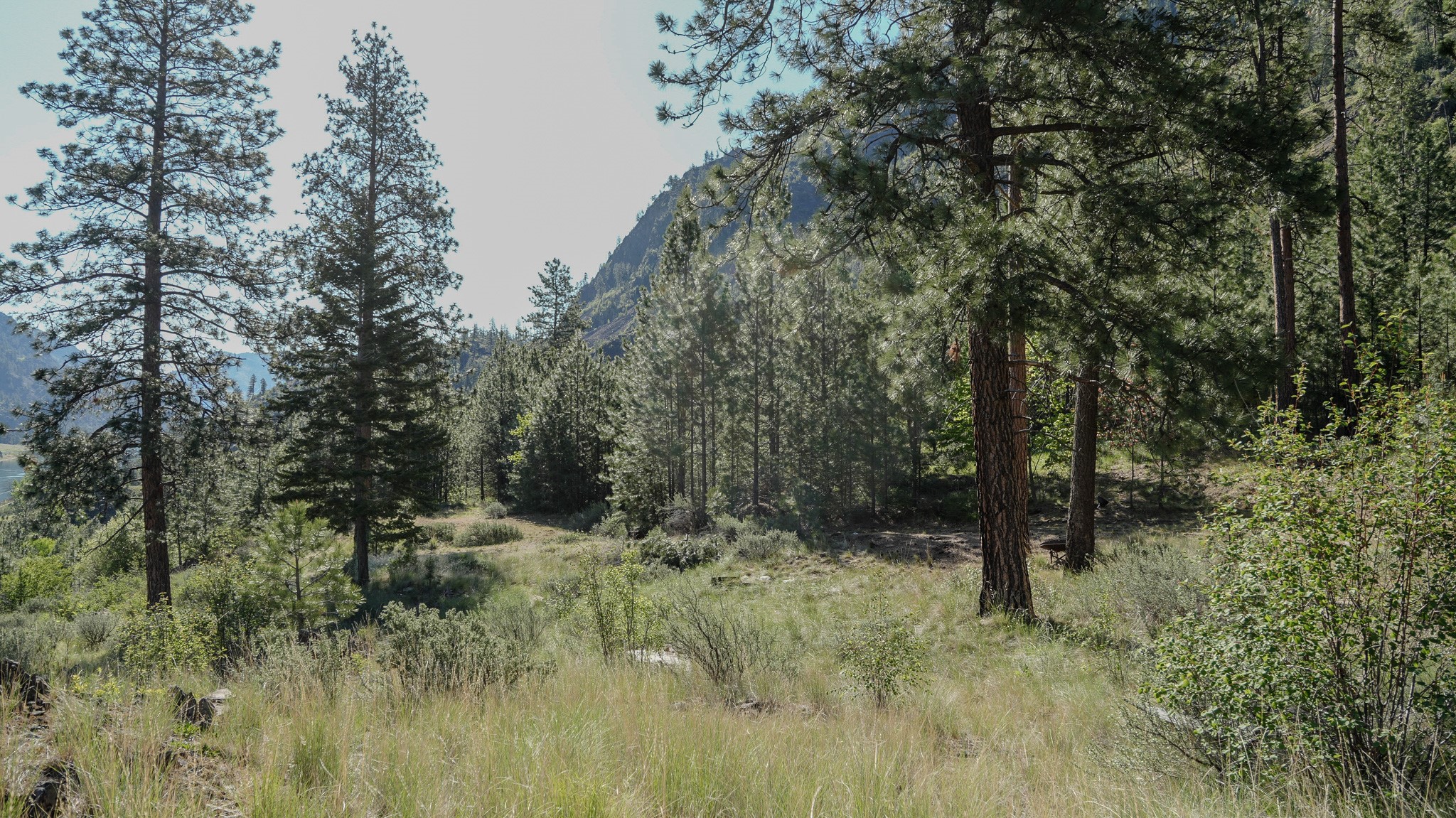 Tbd Hwy 200 Property Photo 16