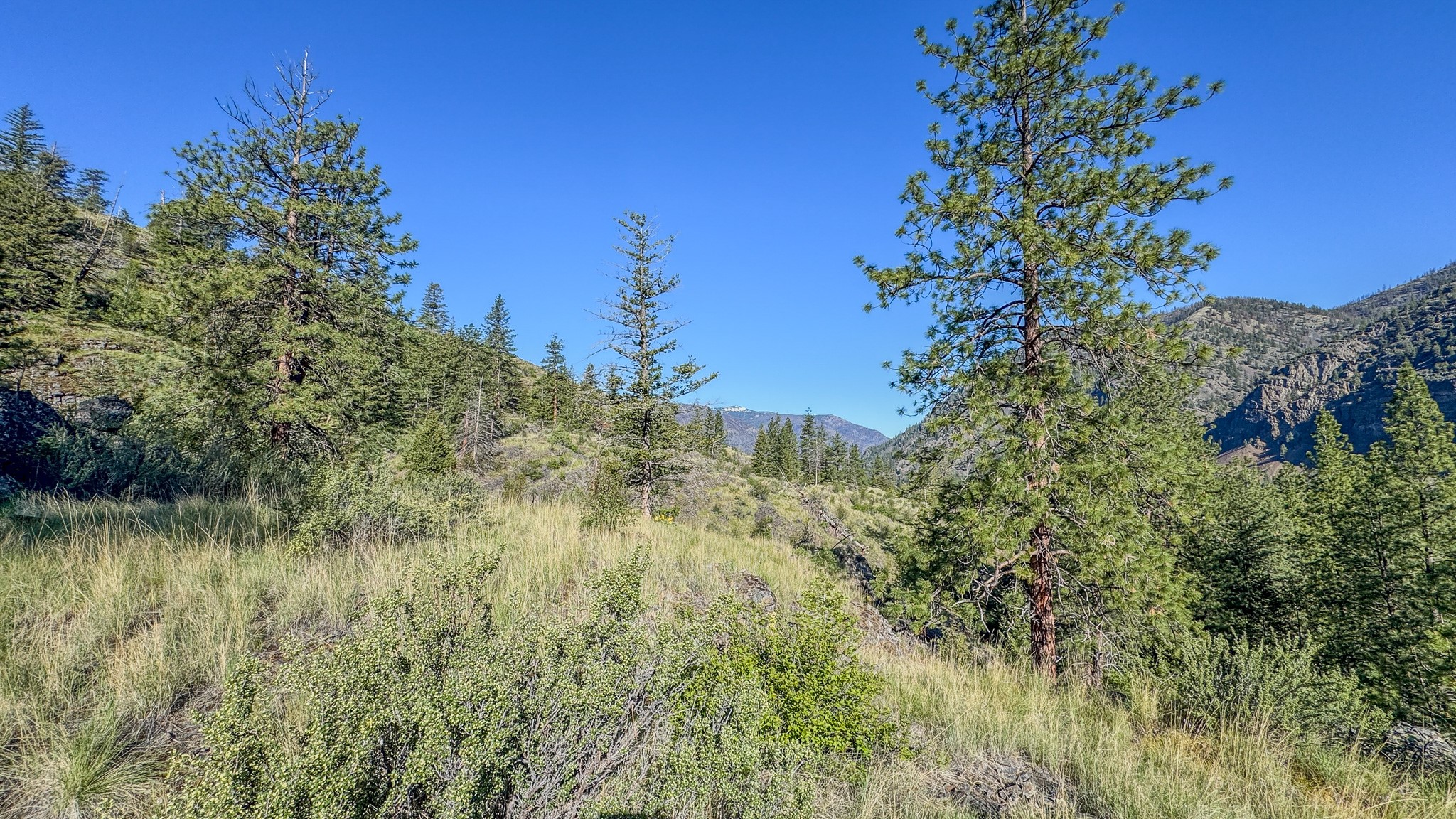 Tbd Hwy 200 Property Photo 24
