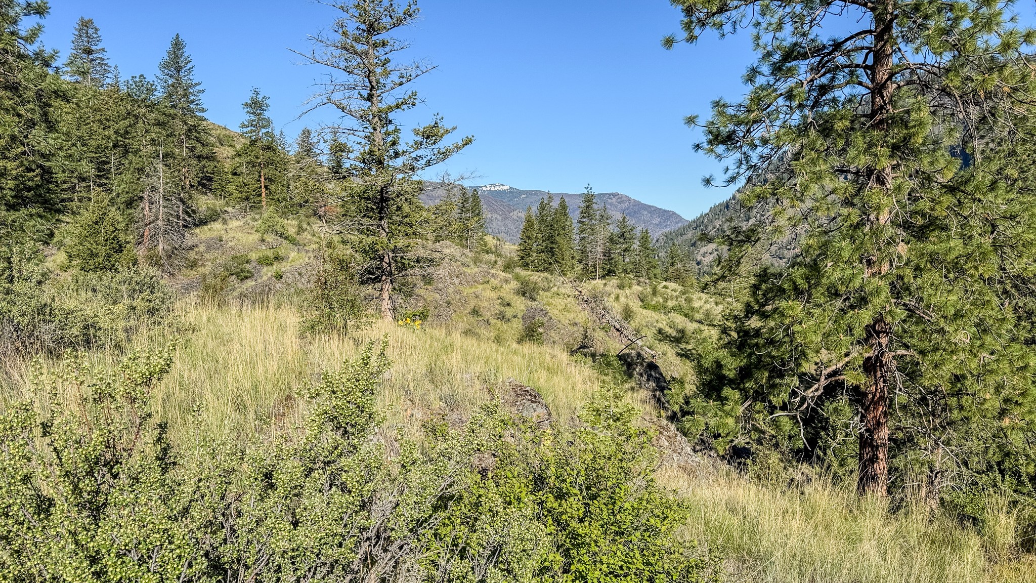 Tbd Hwy 200 Property Photo 28