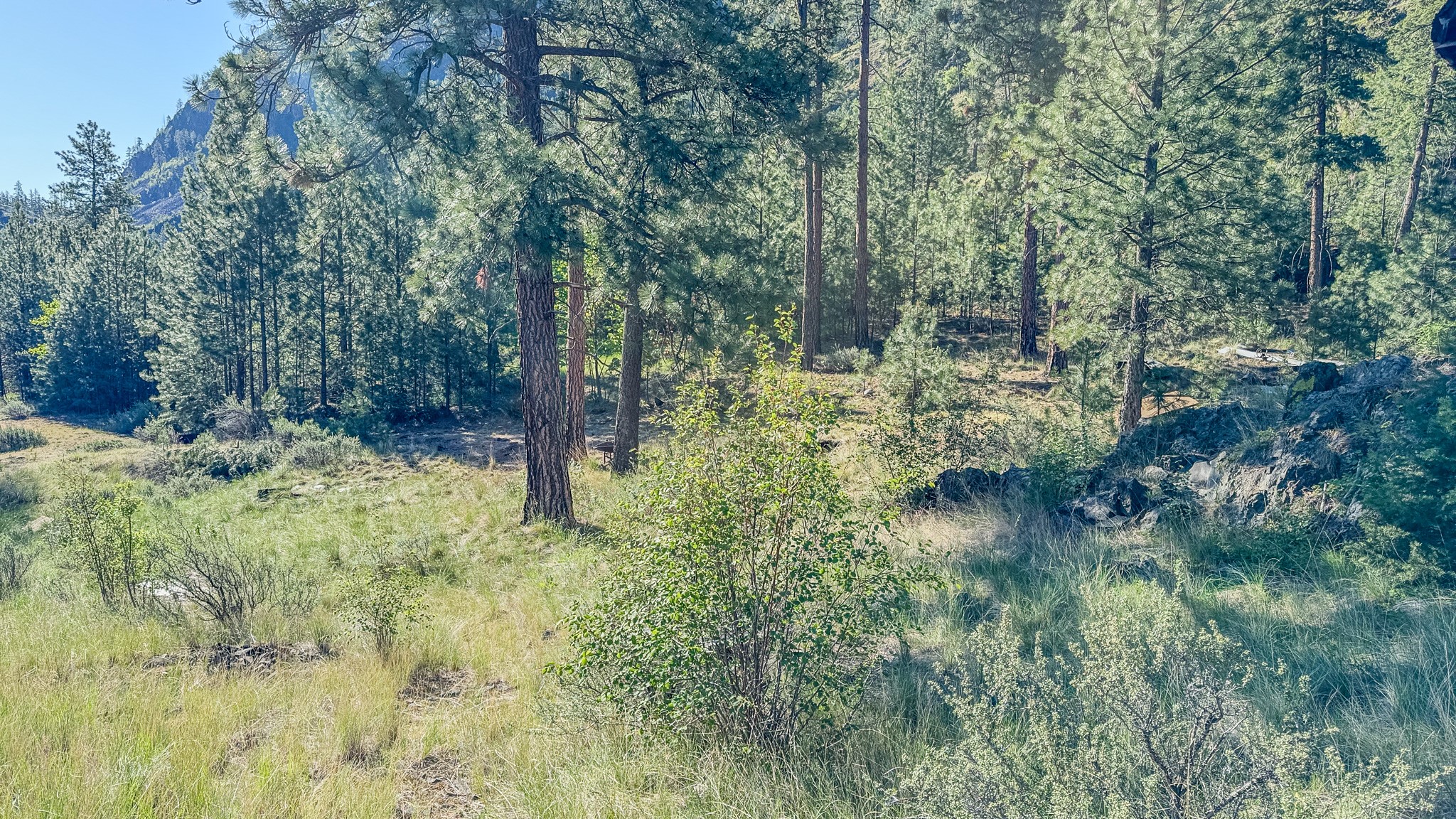 Tbd Hwy 200 Property Photo 30