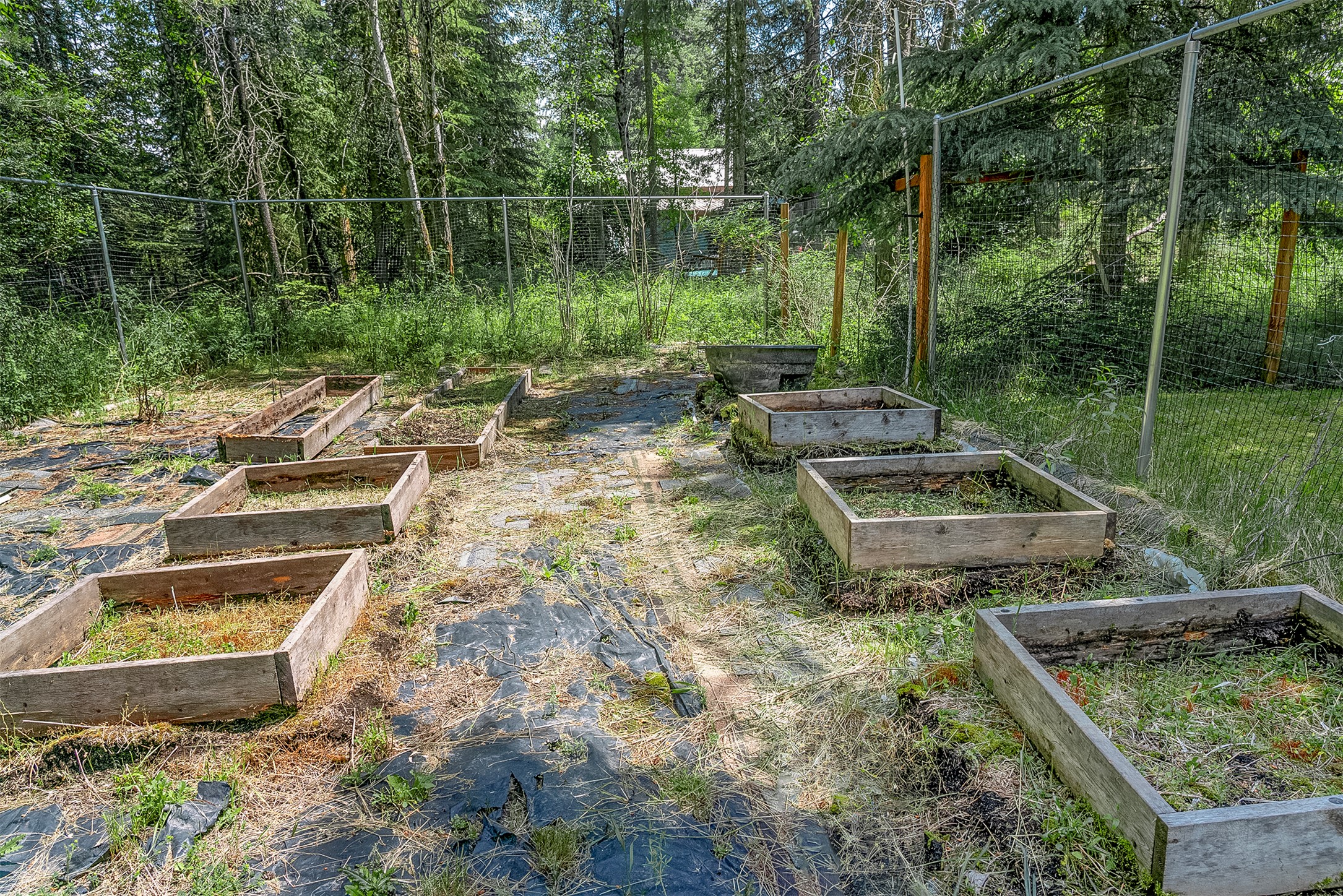 2075 Lion Mountain Loop Road Property Photo 18