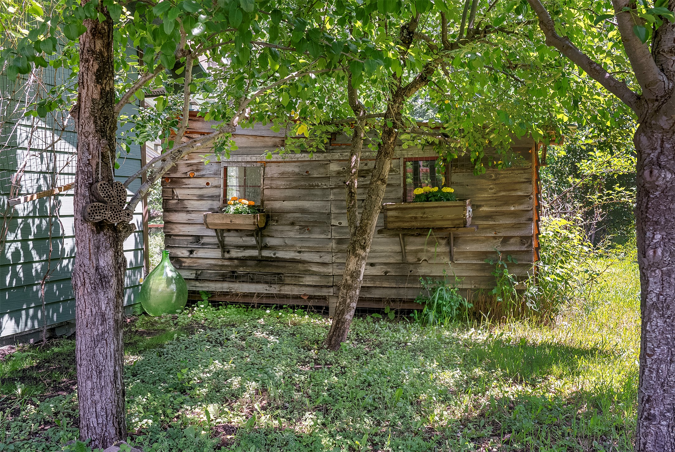 2075 Lion Mountain Loop Road Property Photo 19