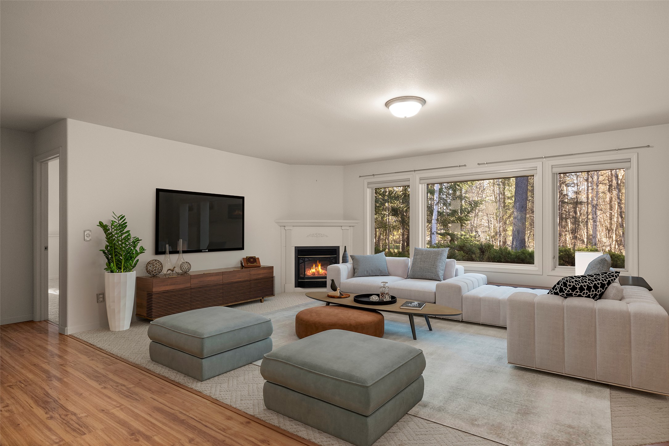 220 Pine Valley Loop Property Photo 3