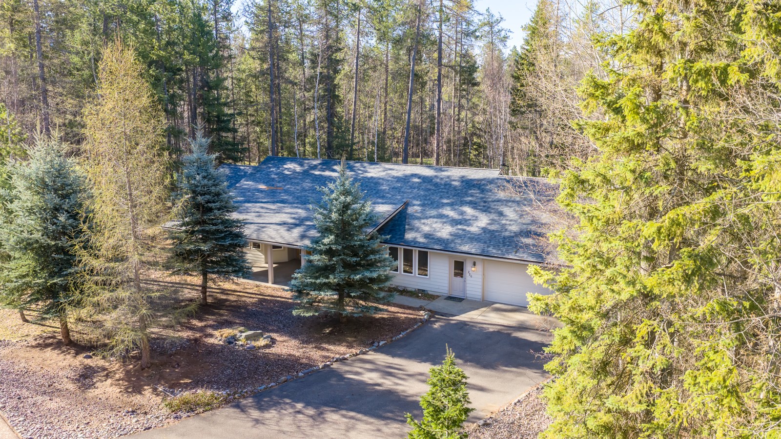 220 Pine Valley Loop Property Photo 8