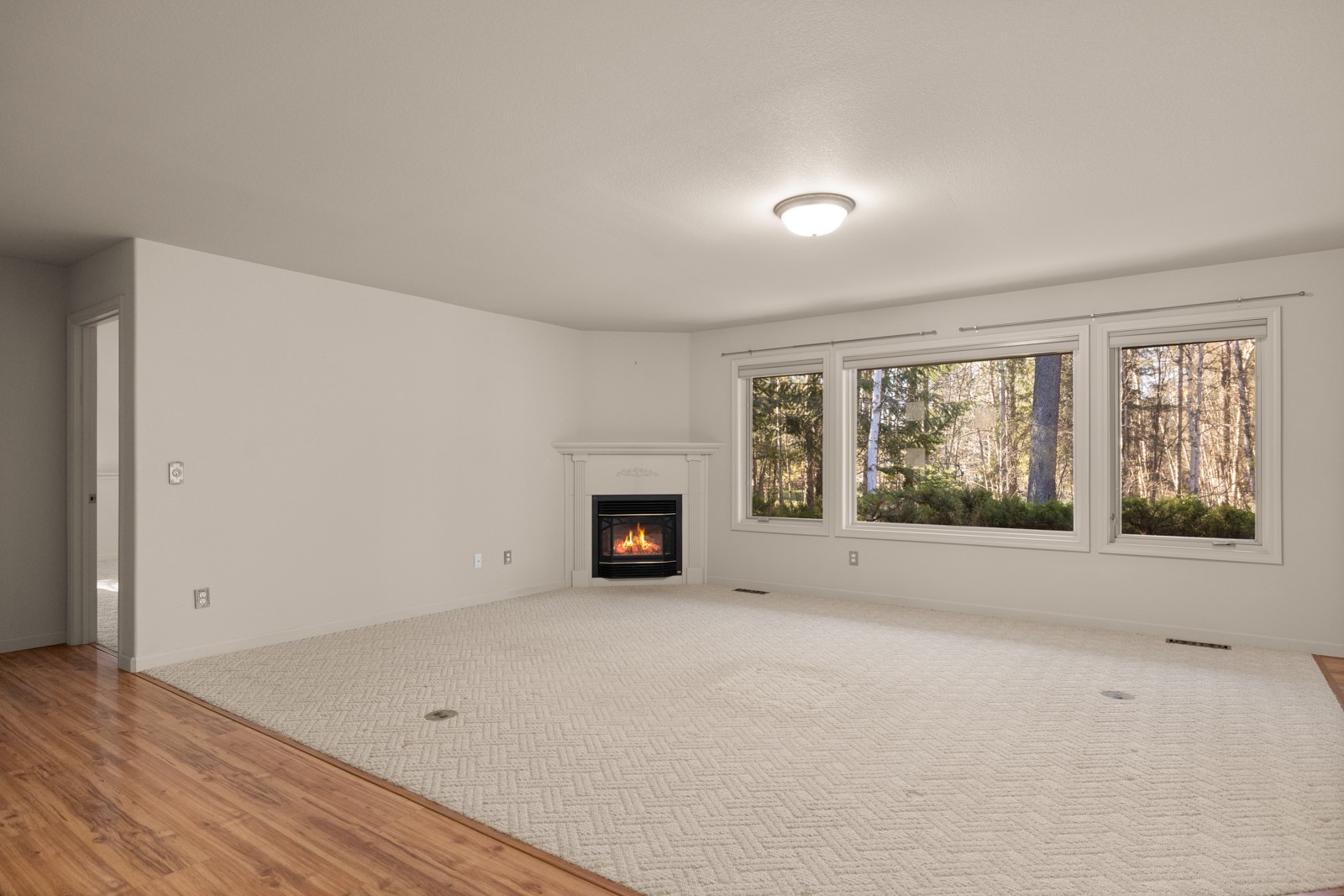 220 Pine Valley Loop Property Photo 11