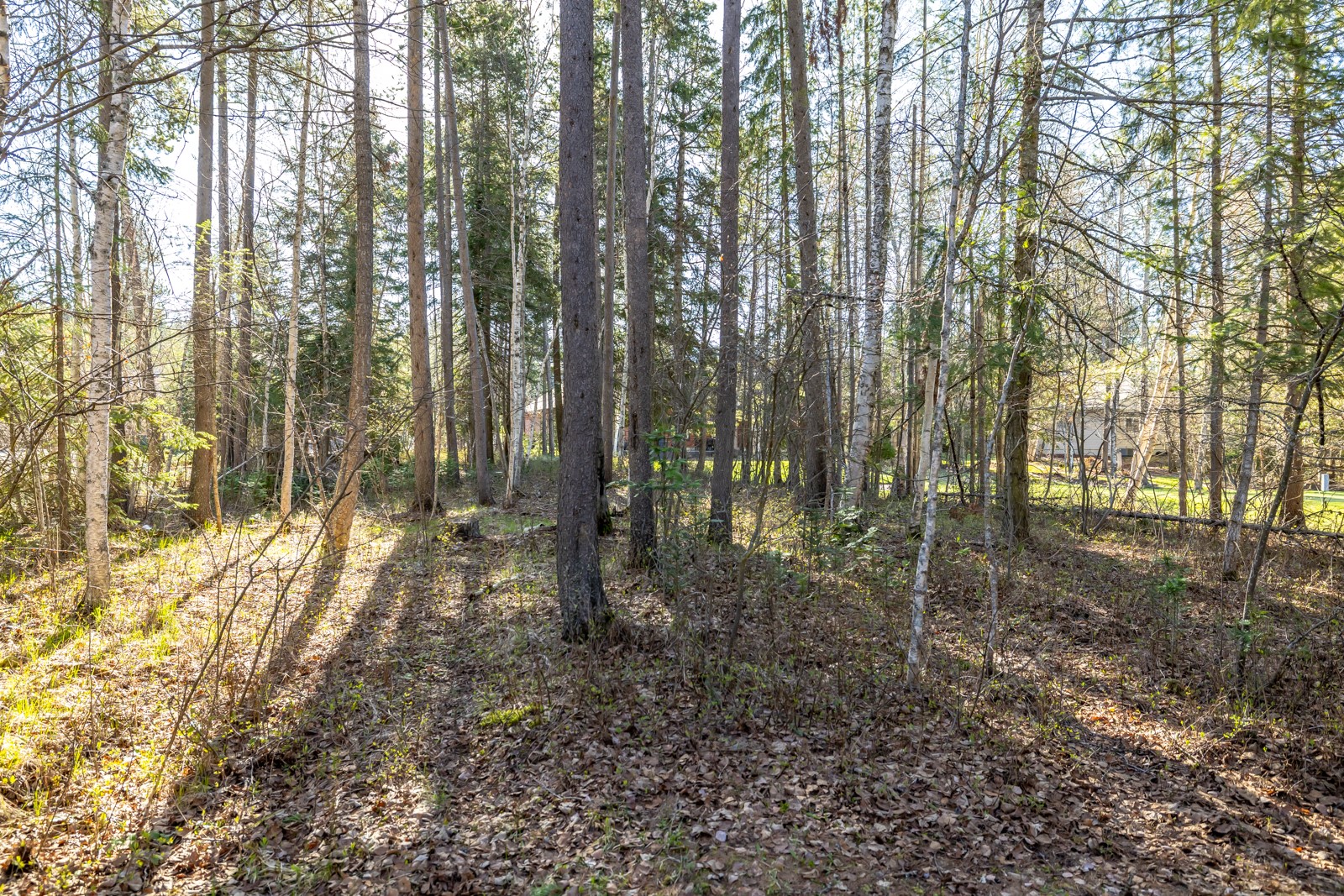220 Pine Valley Loop Property Photo 35