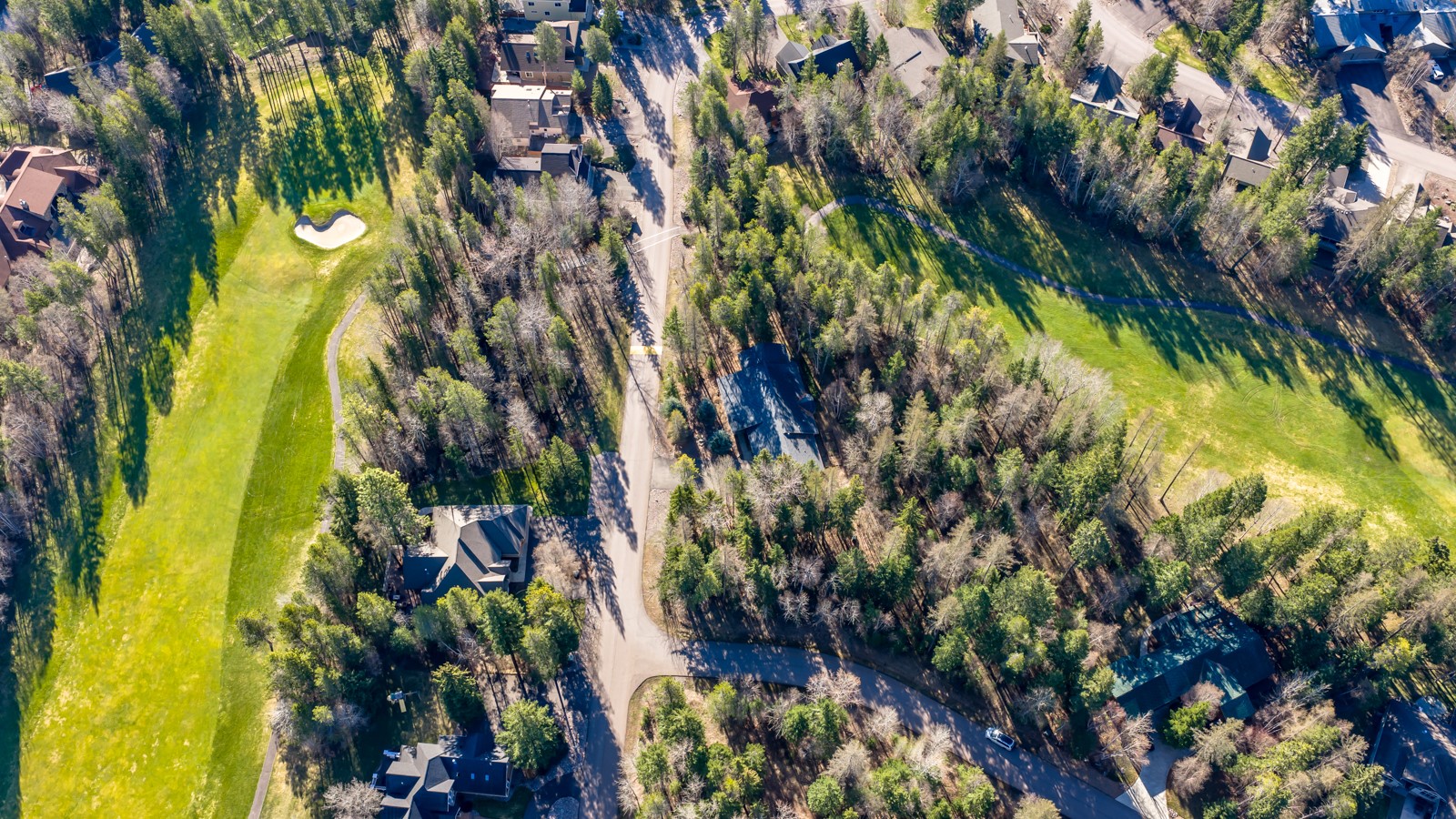 220 Pine Valley Loop Property Photo 42