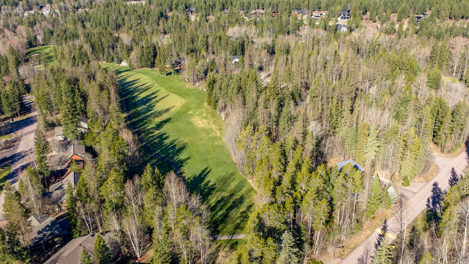 220 Pine Valley Loop Property Photo 45