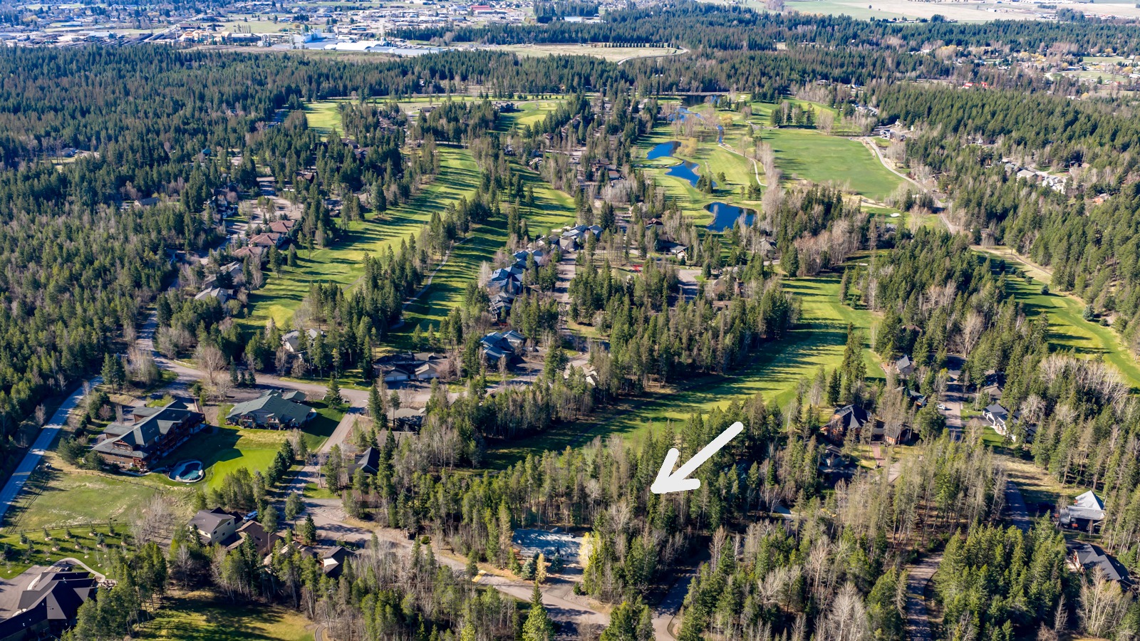 220 Pine Valley Loop Property Photo 46