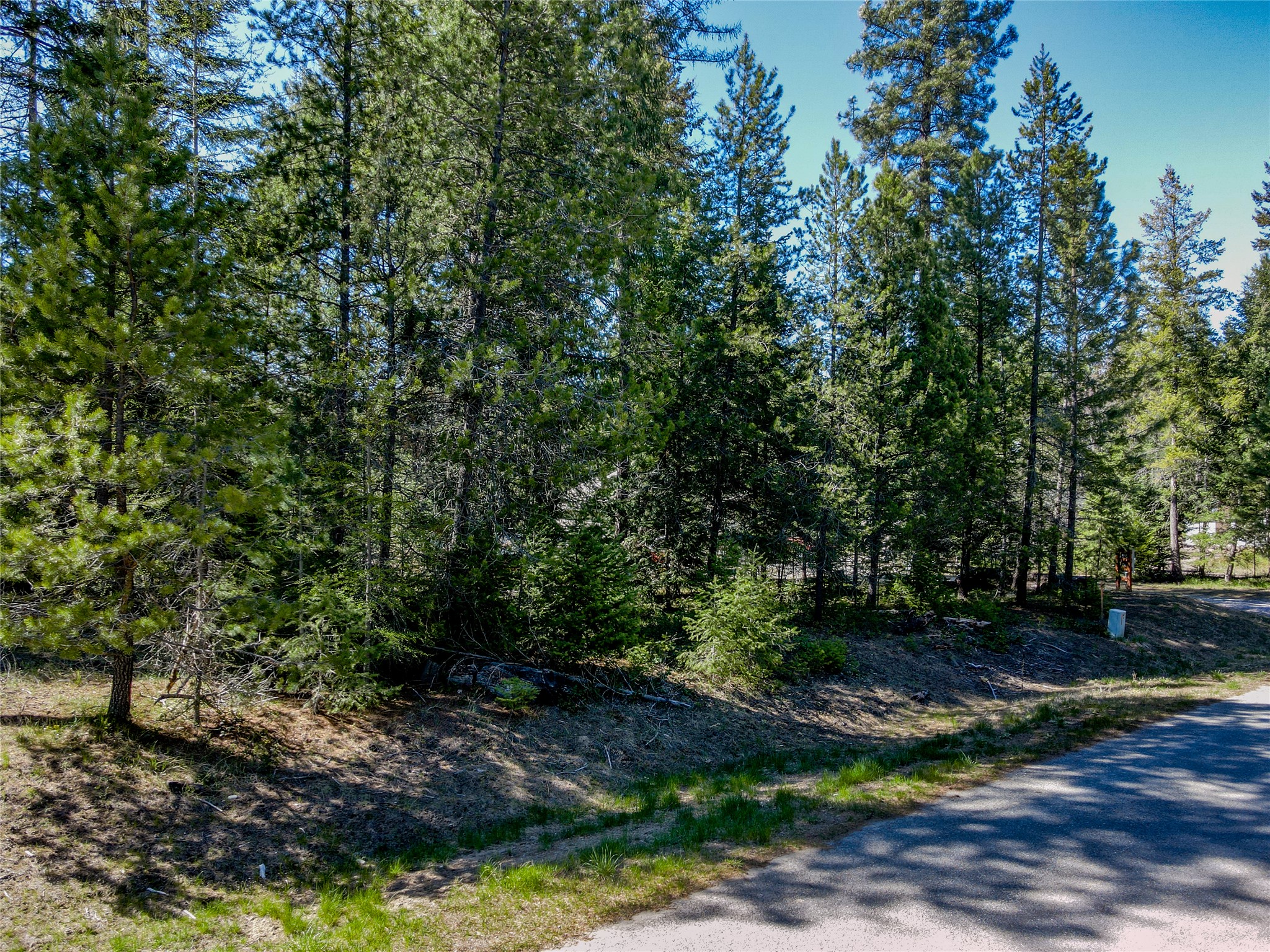 Nhn Hummingbird Lane Property Photo 16