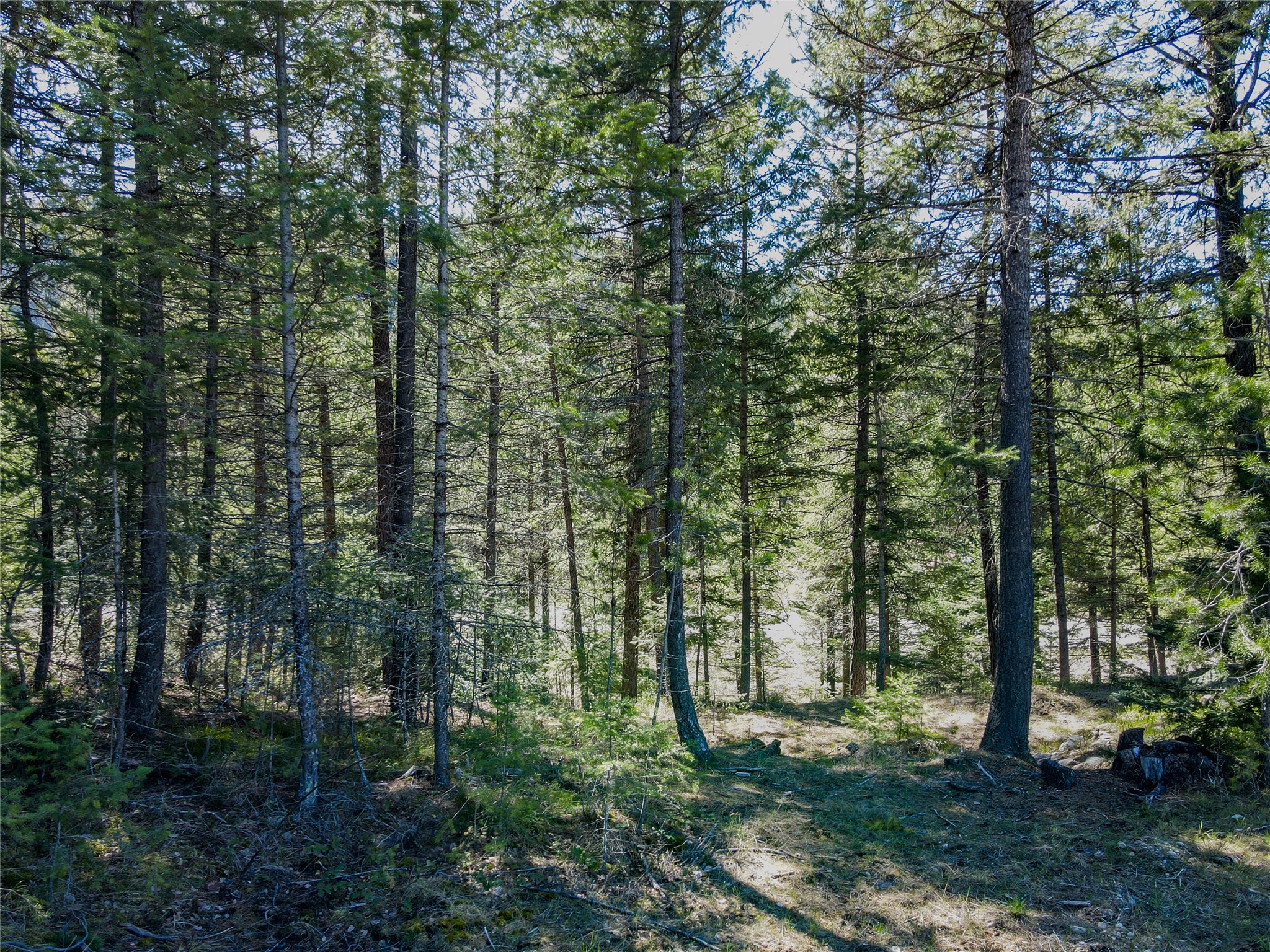 Nhn Hummingbird Lane Property Photo 18