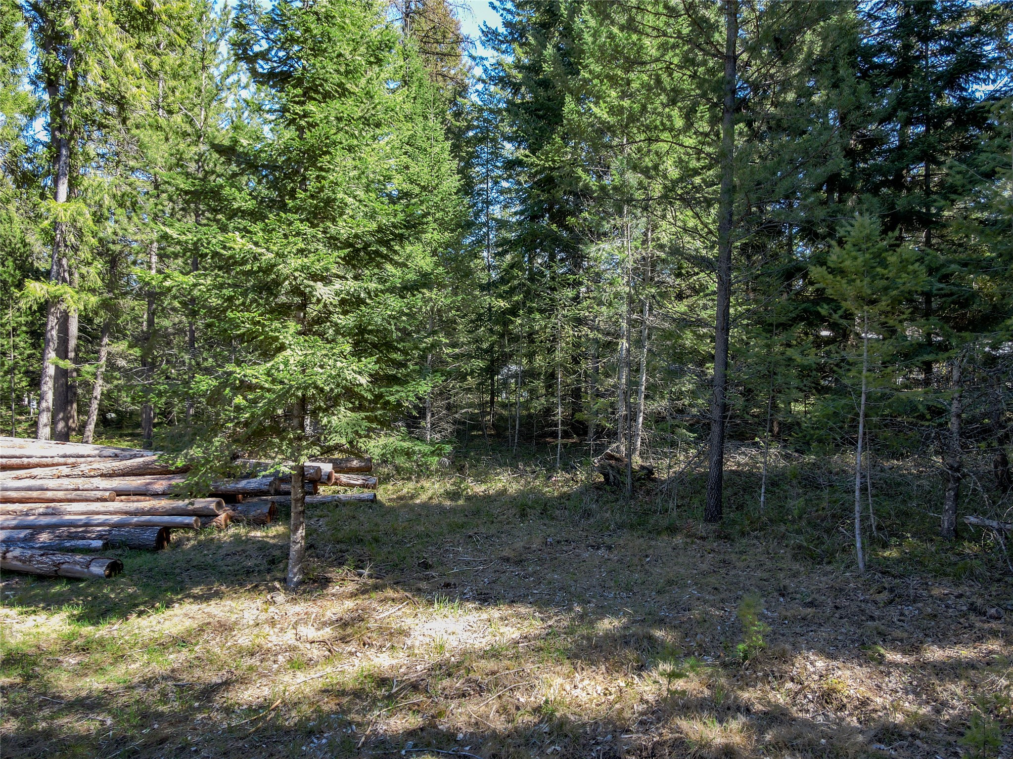 Nhn Hummingbird Lane Property Photo 19