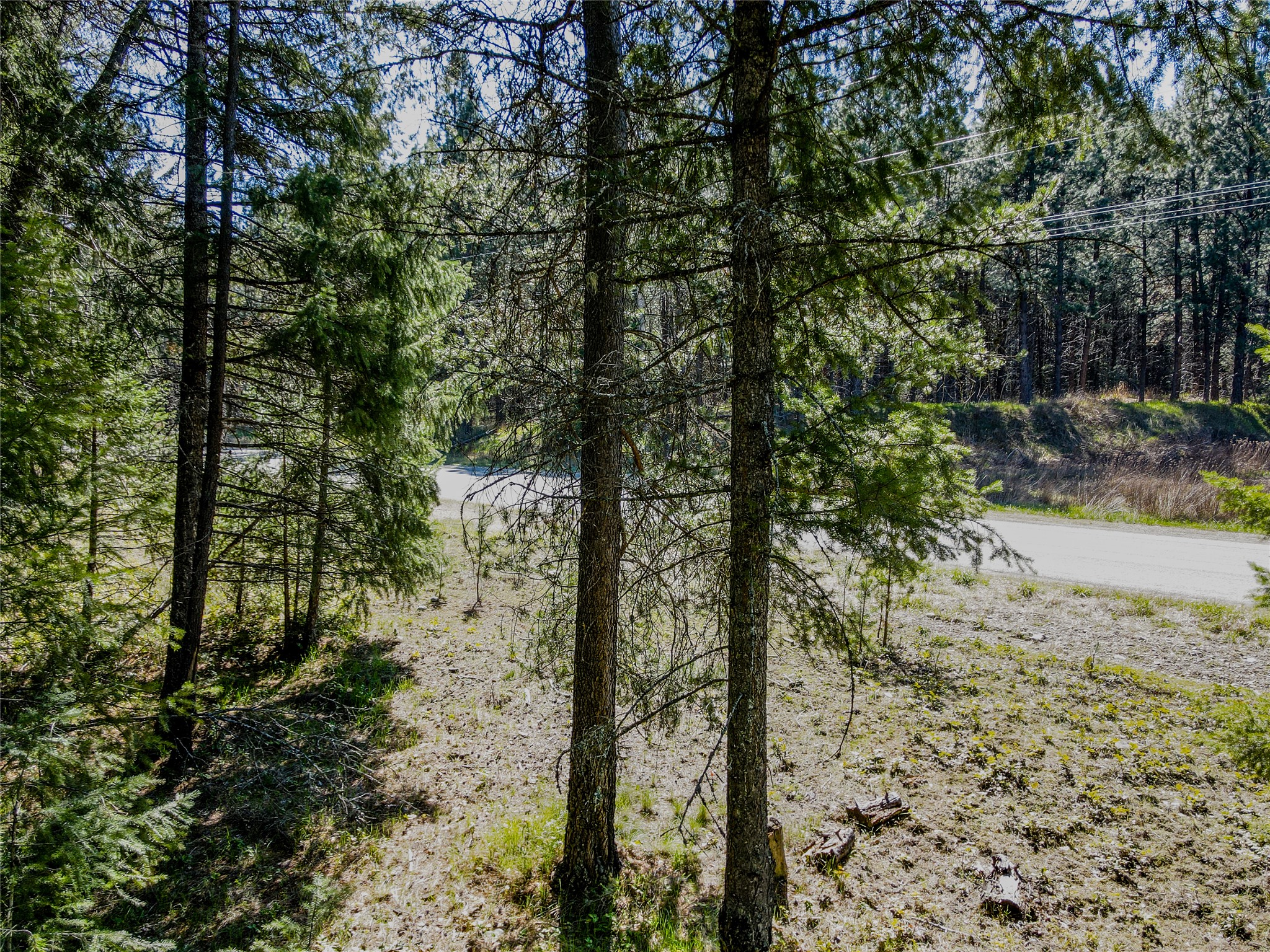 Nhn Hummingbird Lane Property Photo 20