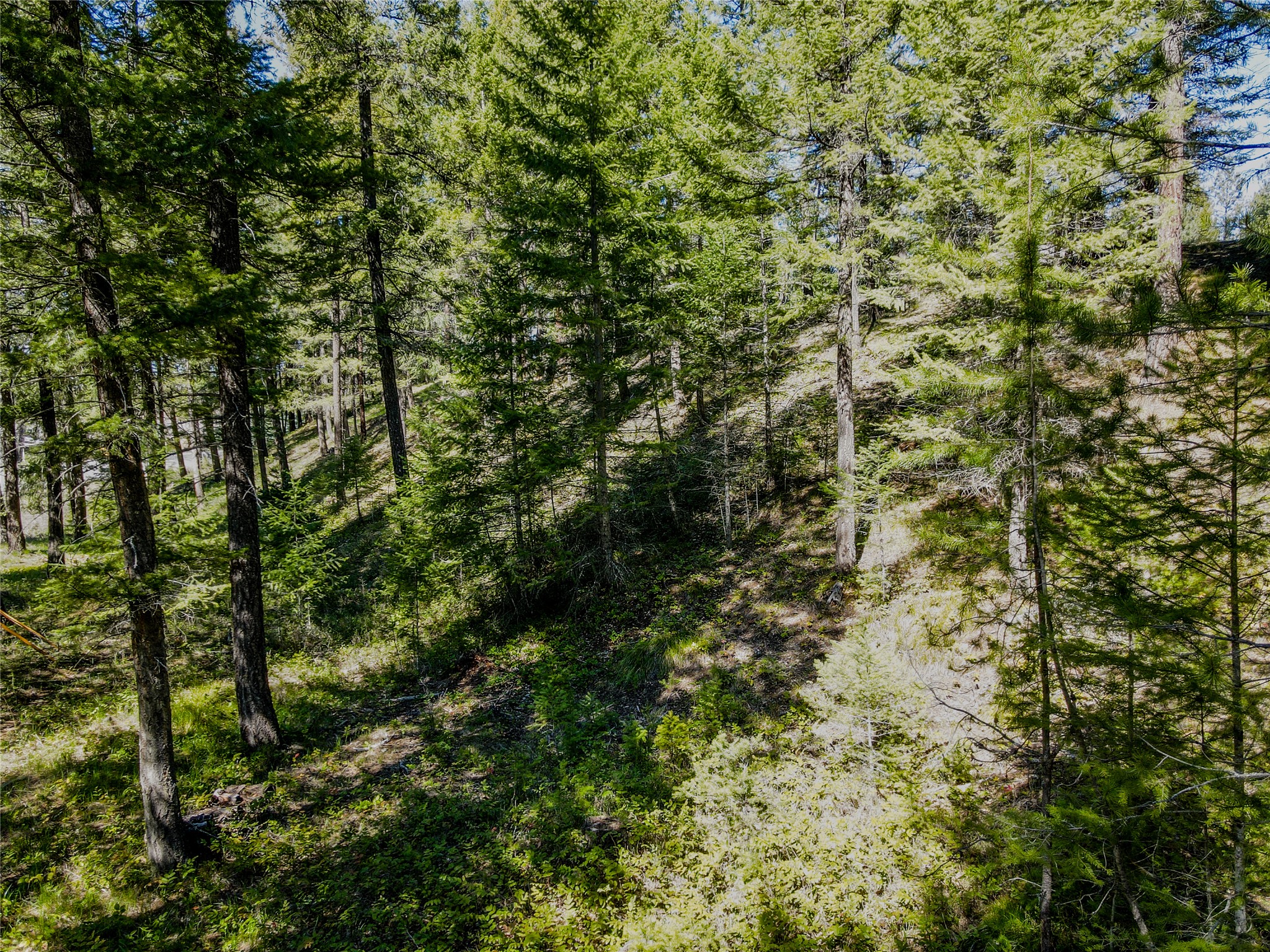 Nhn Hummingbird Lane Property Photo 21
