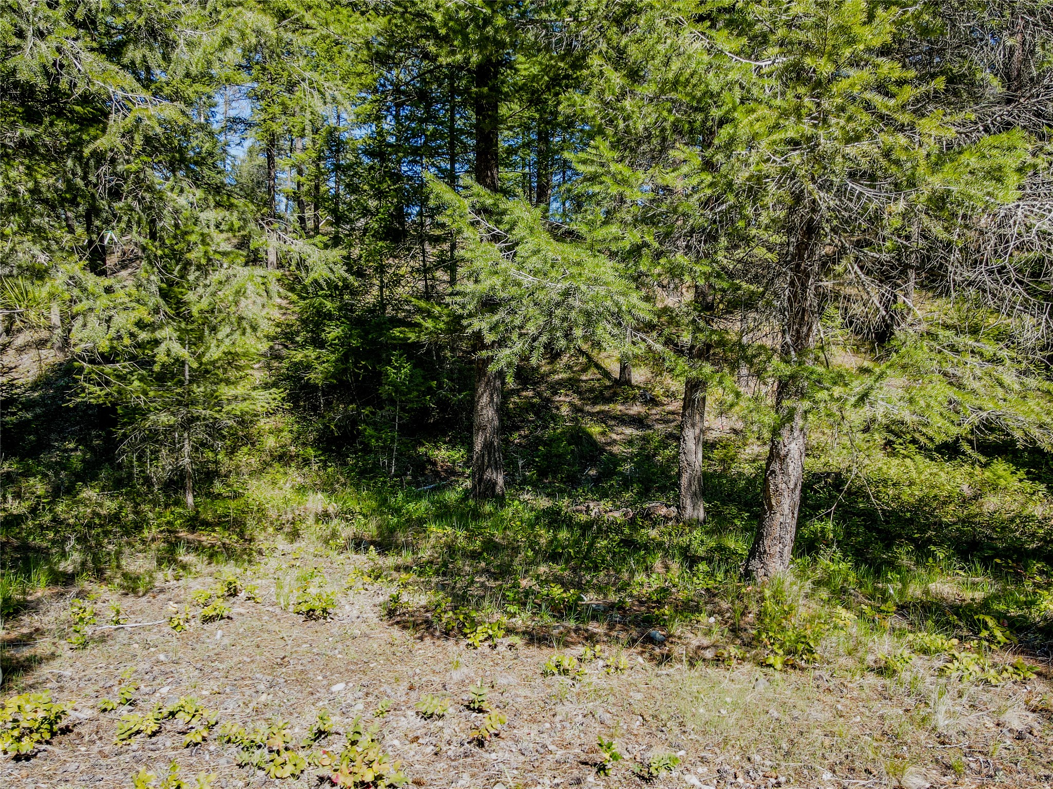 Nhn Hummingbird Lane Property Photo 24