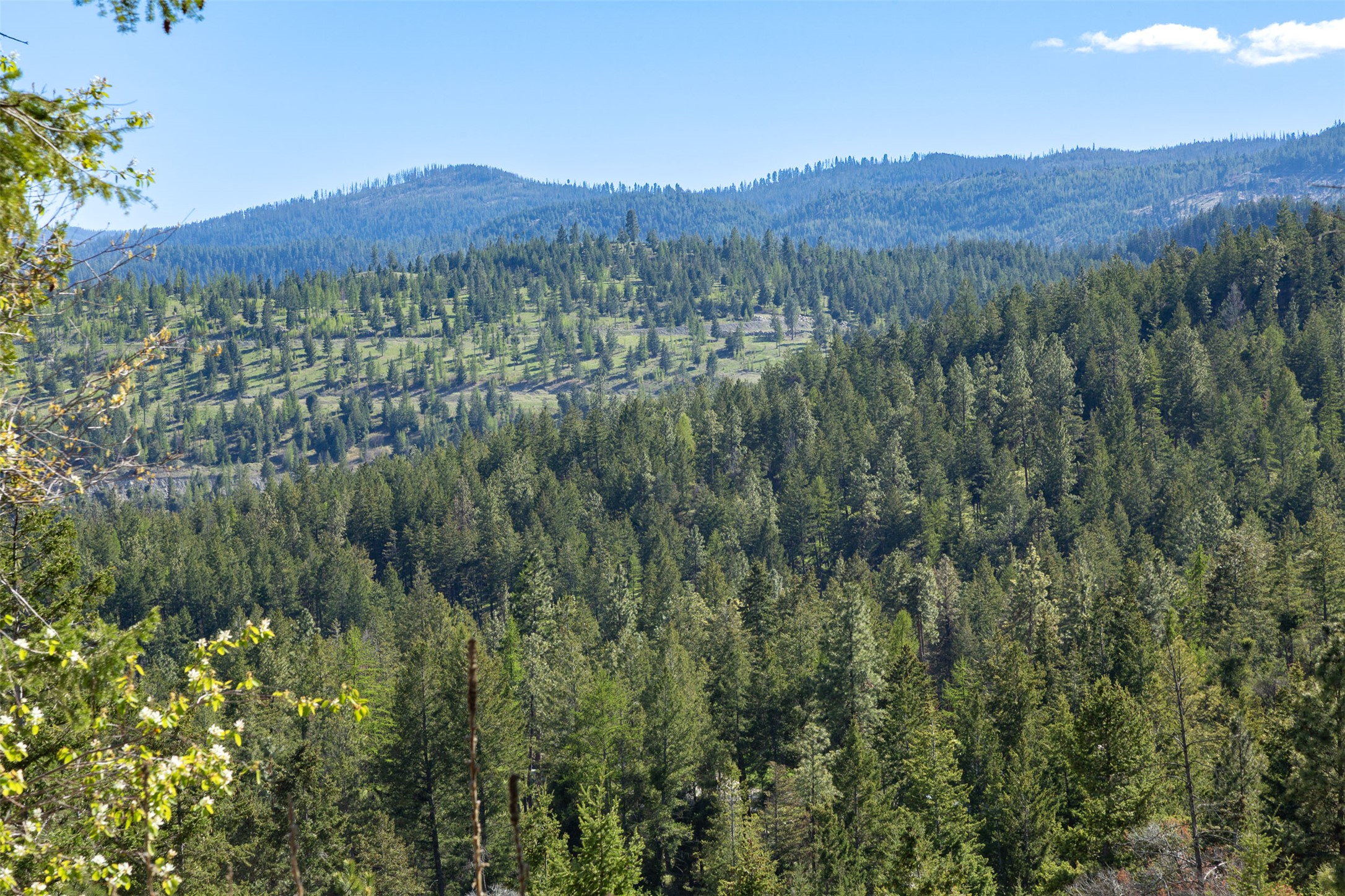 126 Somers Ridge Property Photo 85