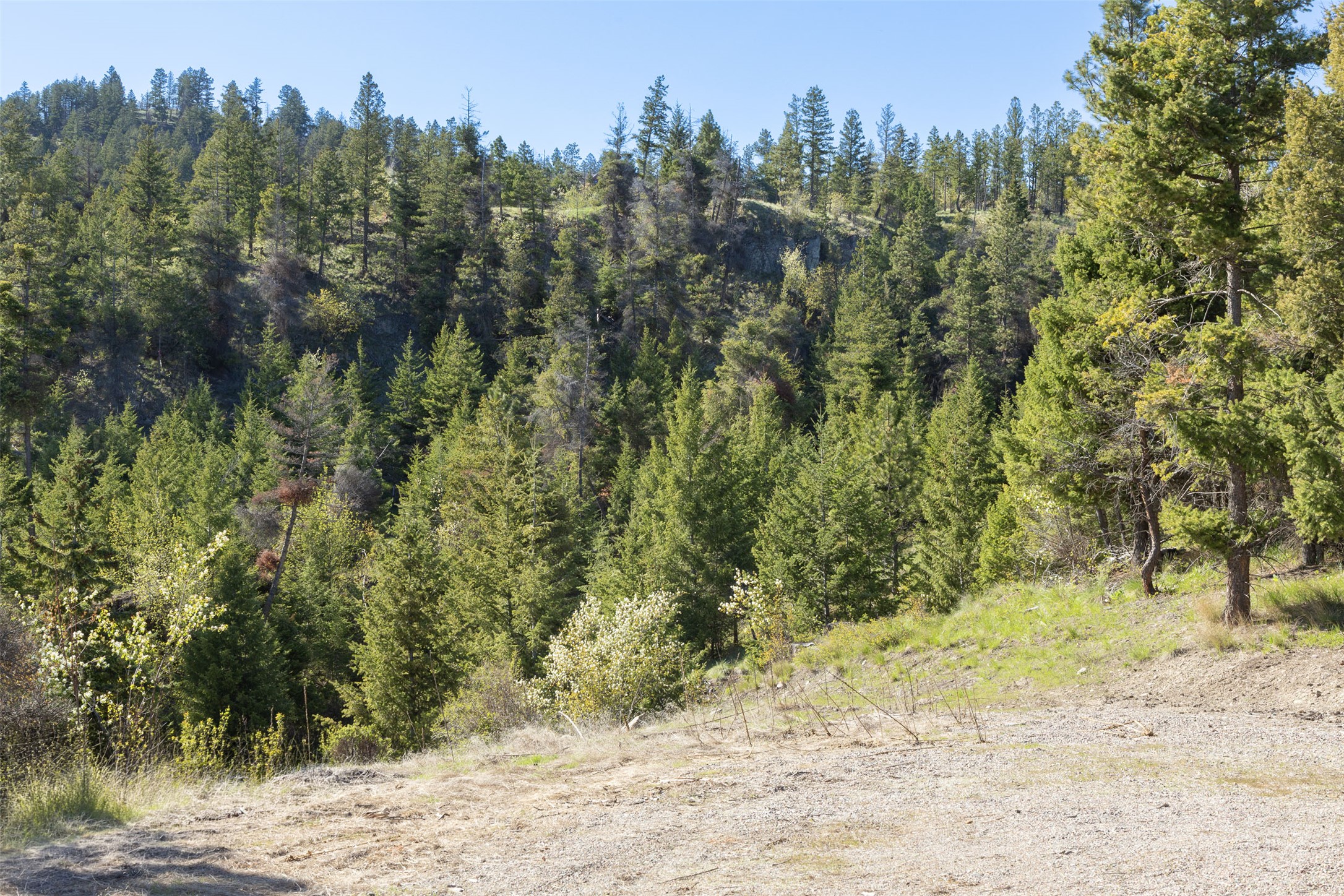 126 Somers Ridge Property Photo 86