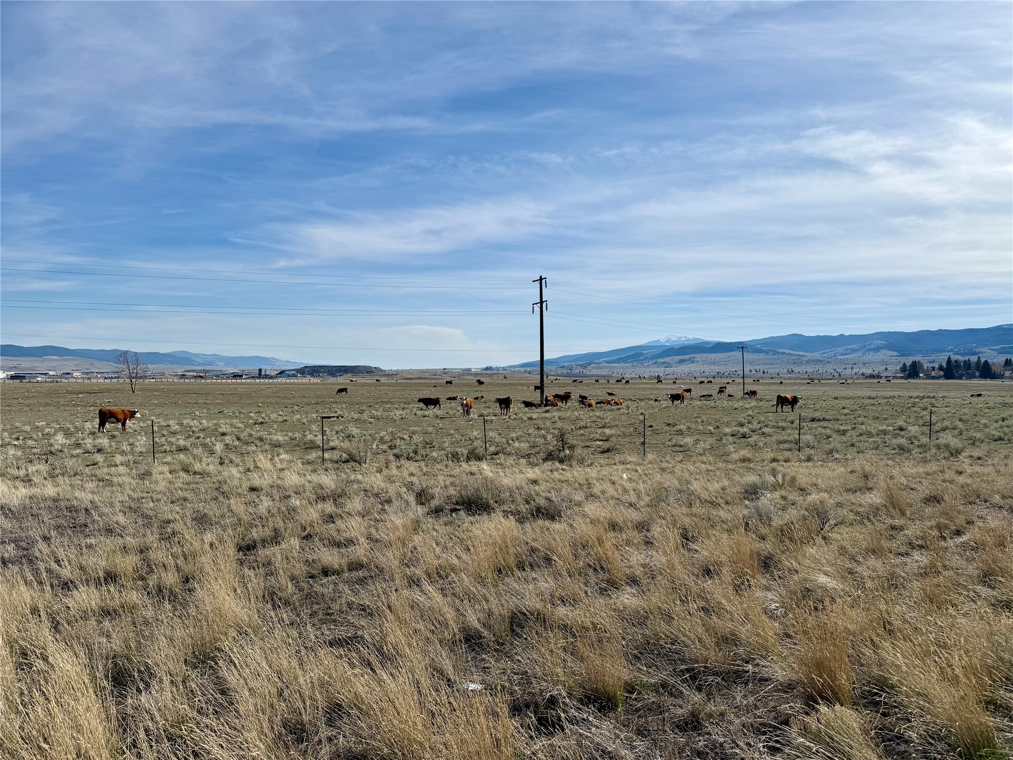 Tbd Nissler Road Property Photo 13