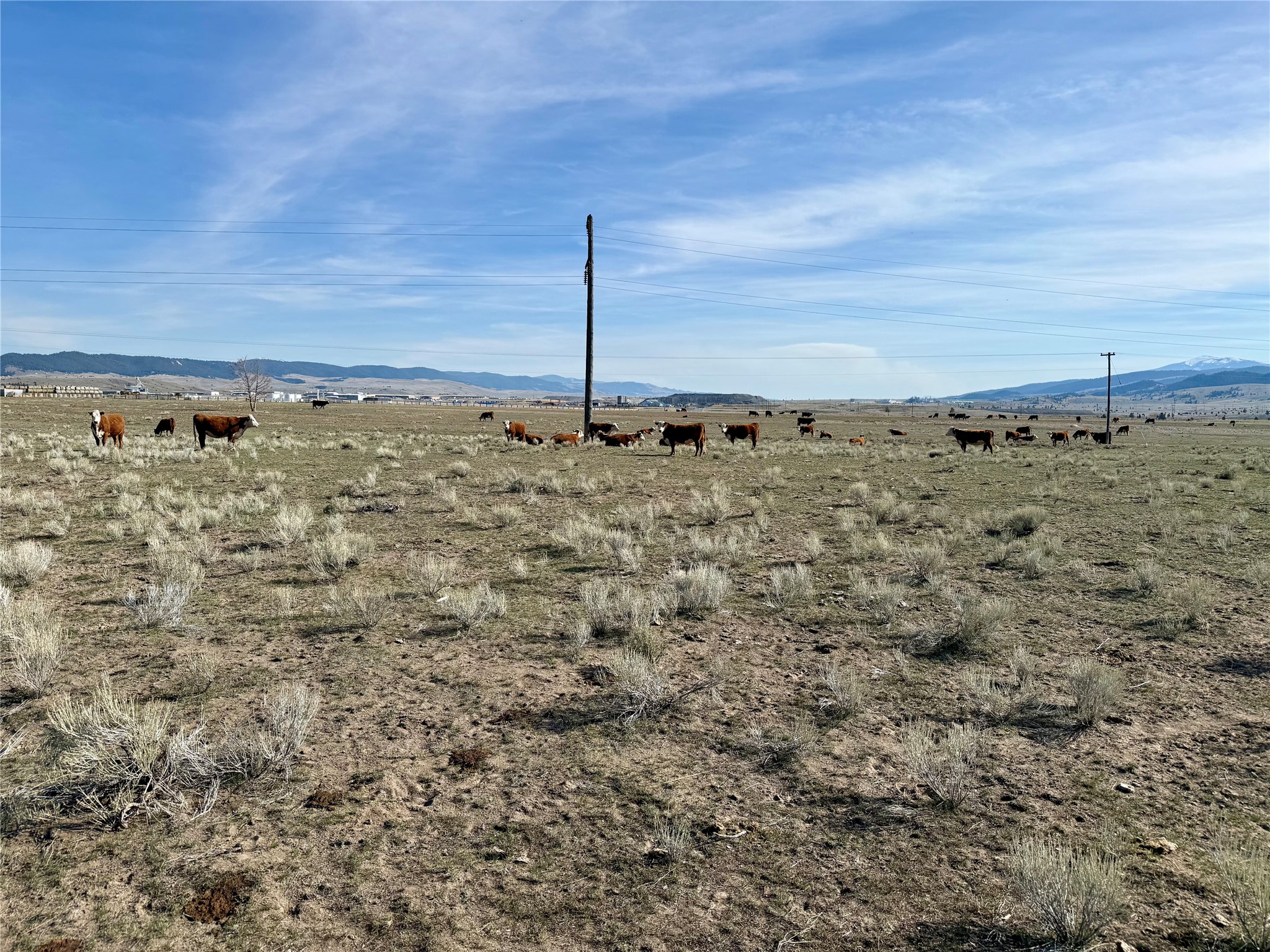 Tbd Nissler Road Property Photo 16